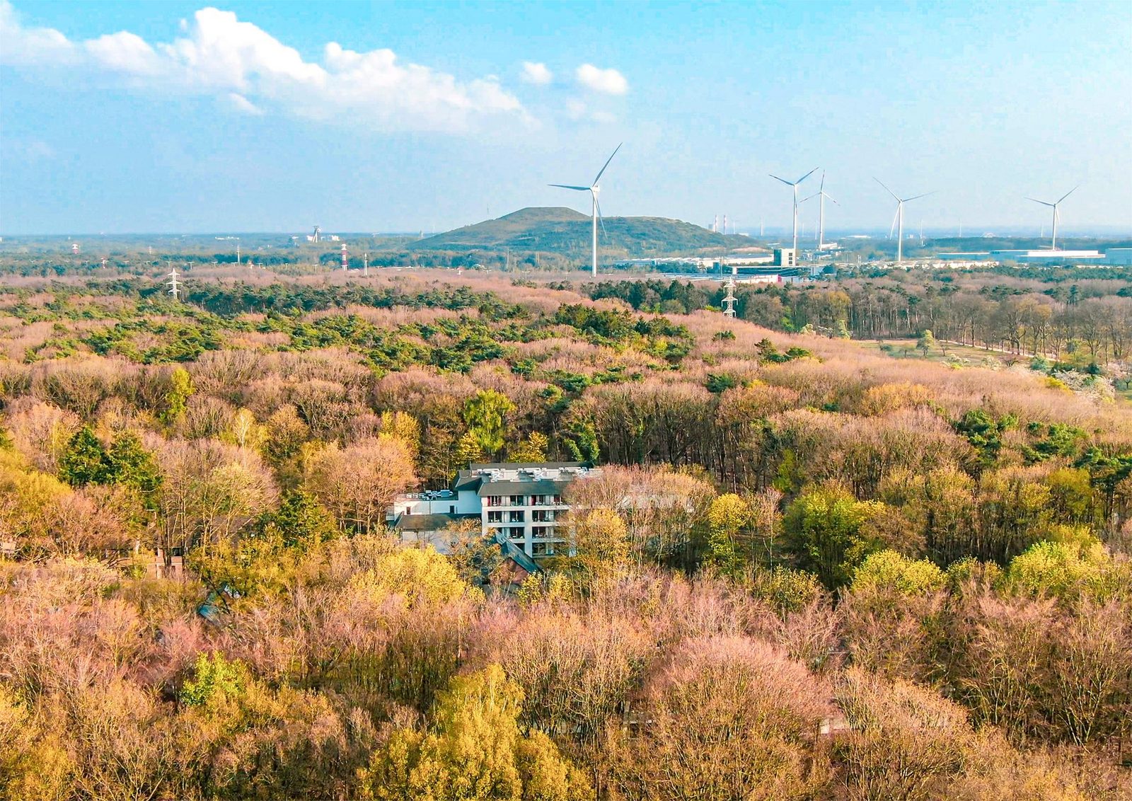 Holiday Suites in Houthalen-Helchteren, in the middle of a wooded area