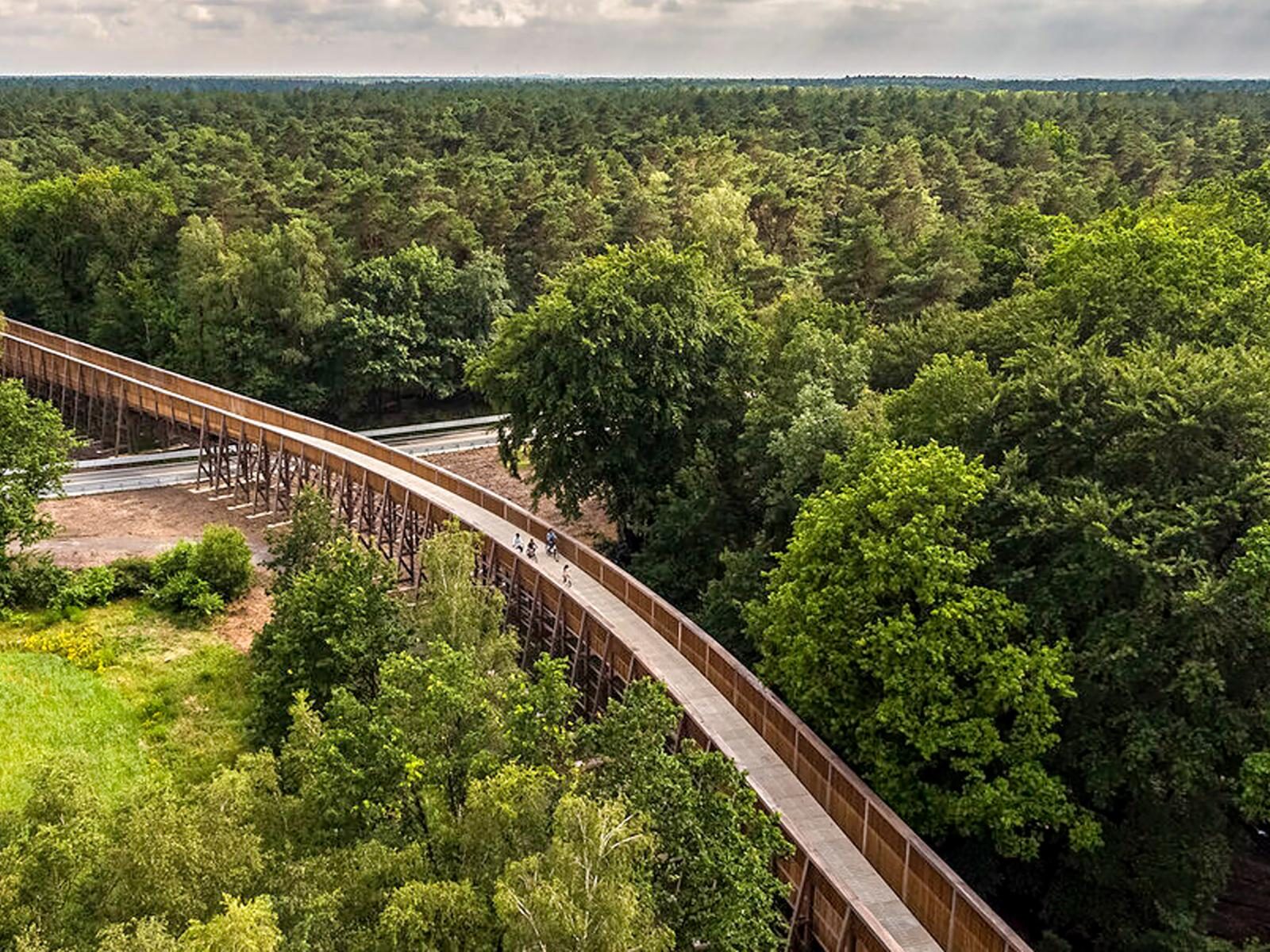 'Fietsen door de Heide' in Nationaal Park Hoge Kempen, Limburg