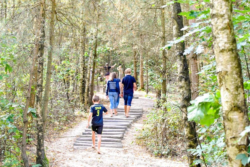 Le Sentier des Pieds Nus dans le Parc National Hoge Kempen dans le Limbourg