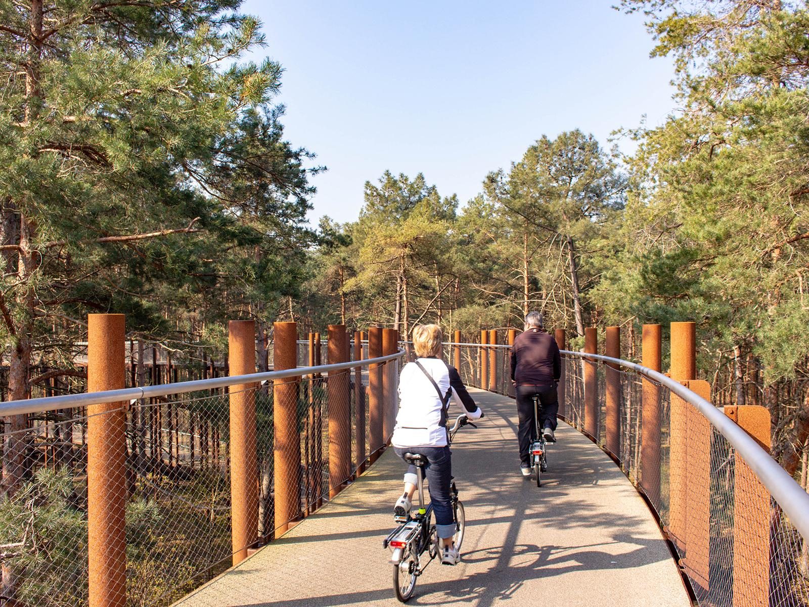 'Fietsen door de Bomen' in Bosland, Limburg