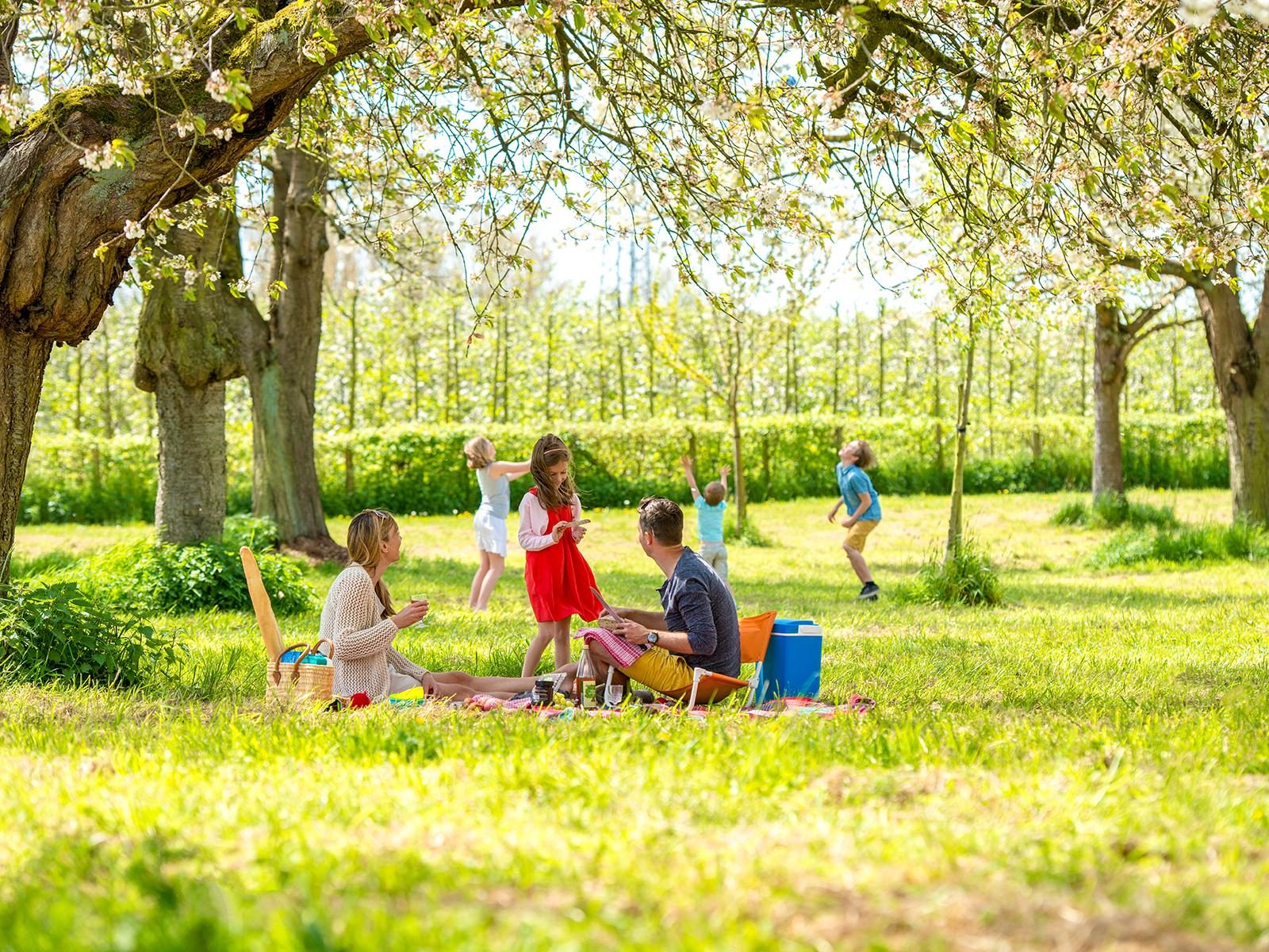 Een gezin in de natuur in Limburg