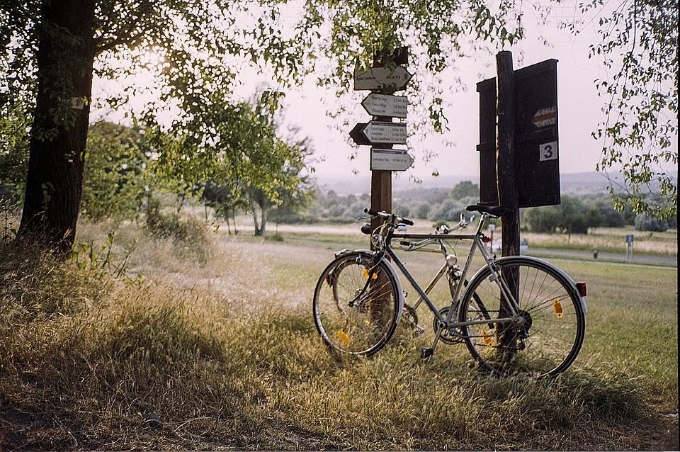 Bicycle and signpost in the forest