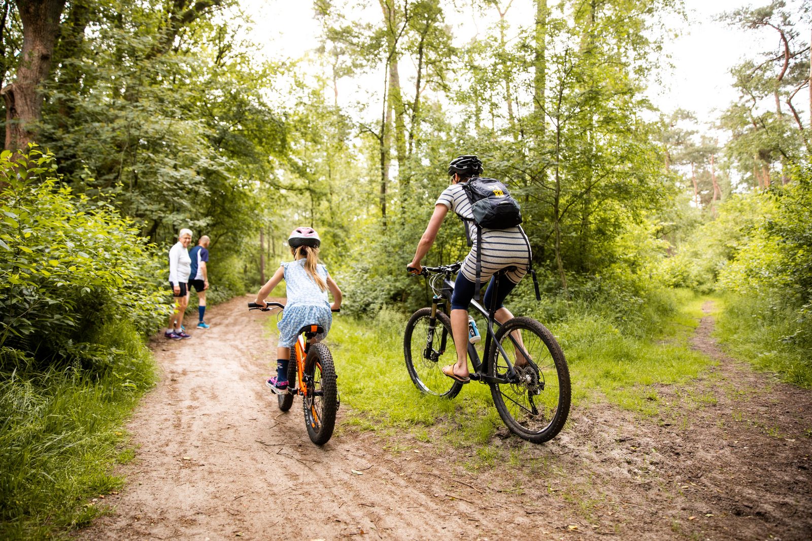 Discover cycling routes in the area