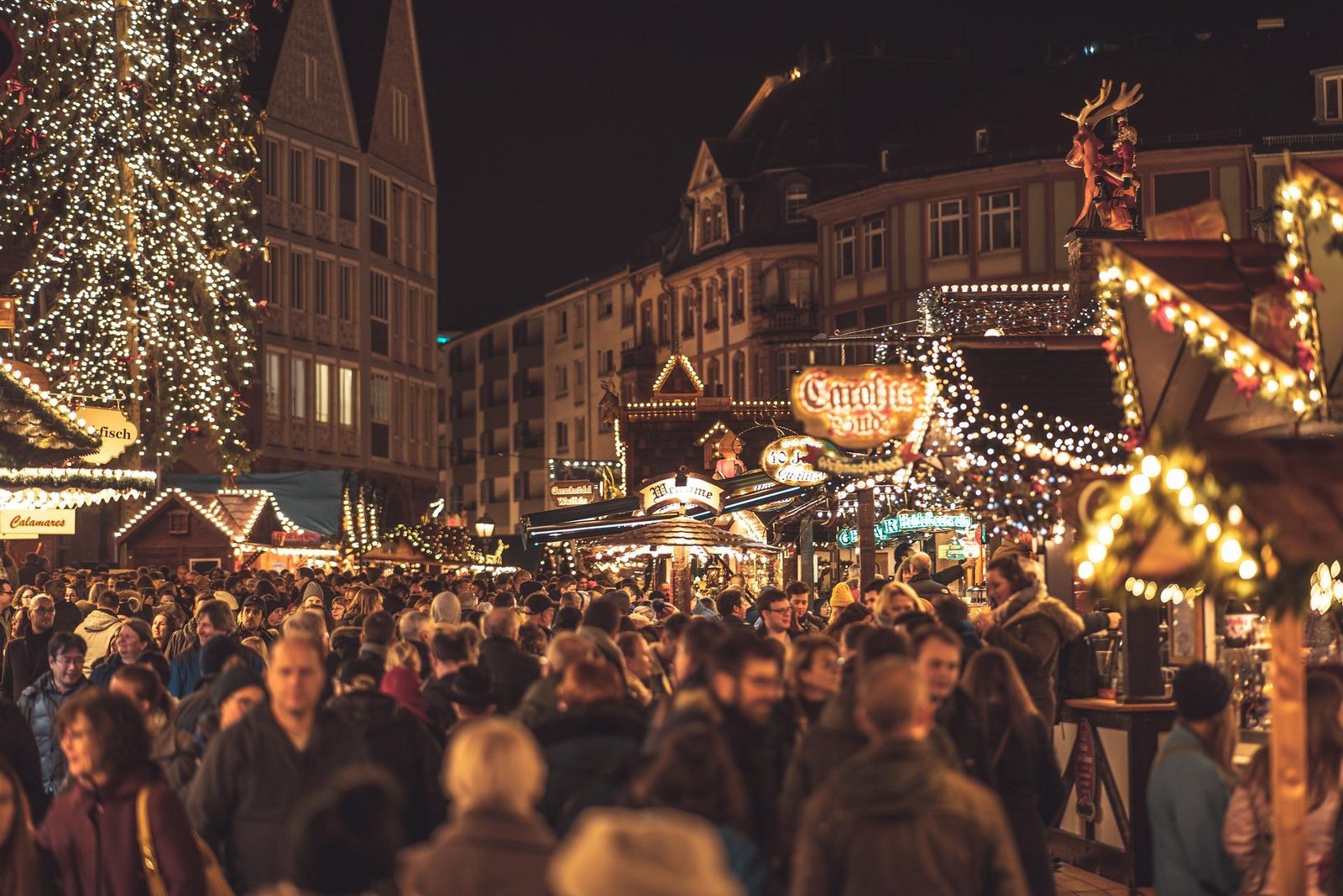 Visit the Christmas market in Egmond aan Zee 