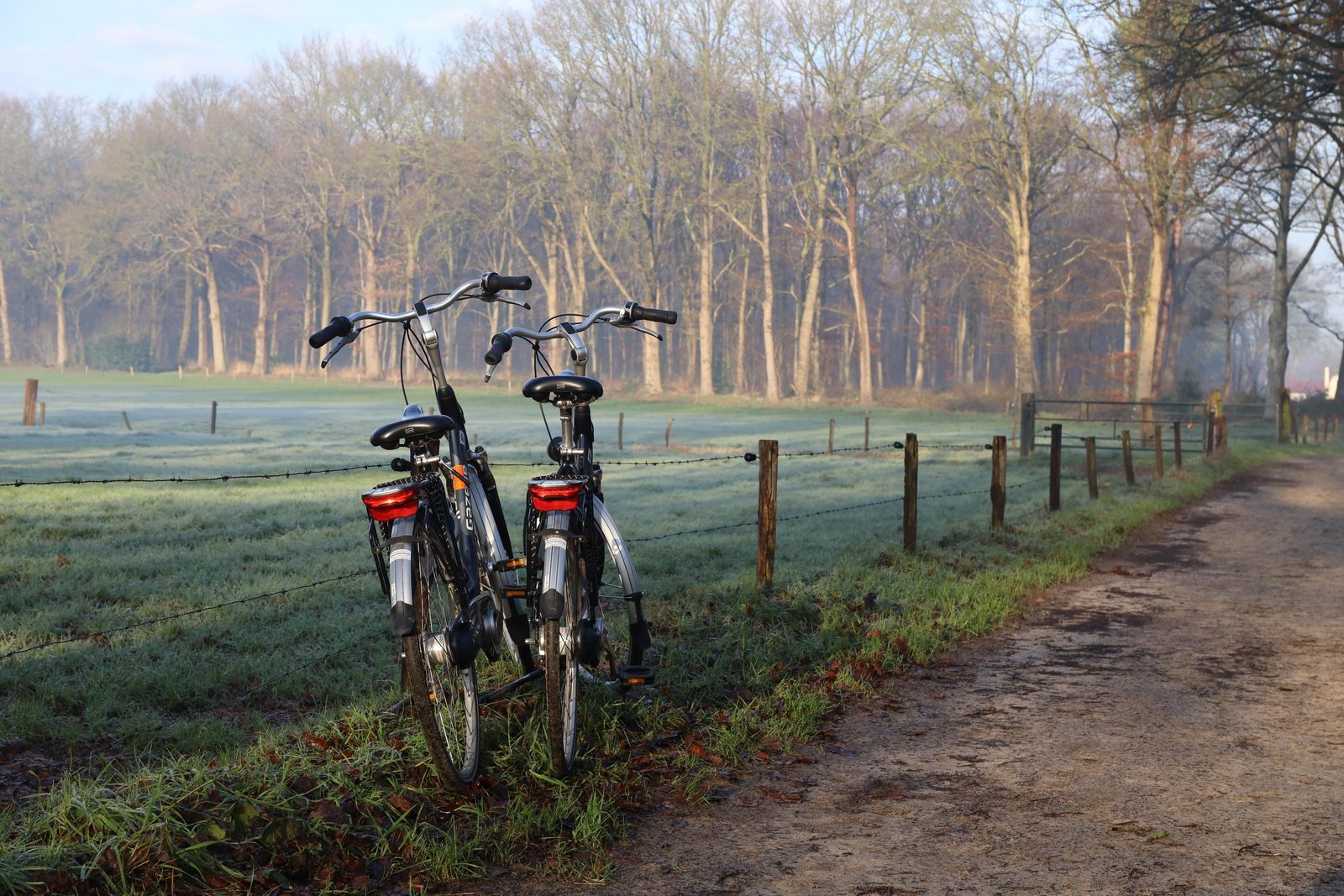 Radfahren und Wandern in der Veluwe