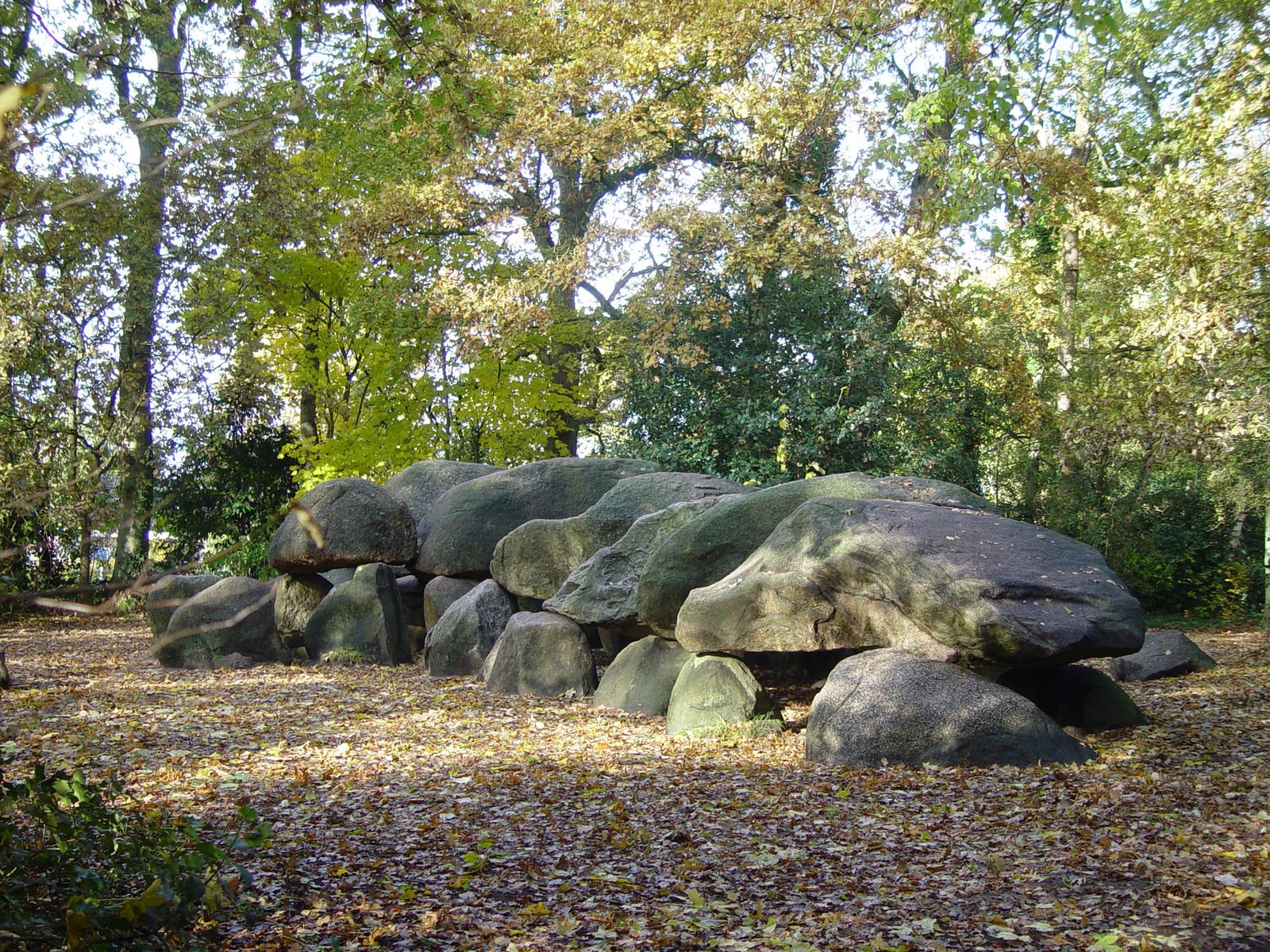 Discover the surroundings of Drenthe
