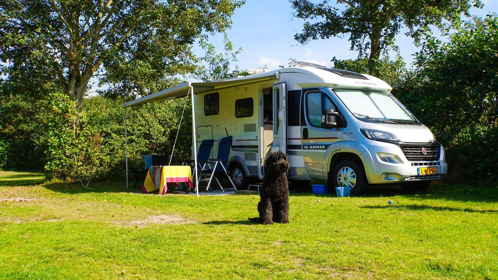 Campingplatz Nordholland mit Hund