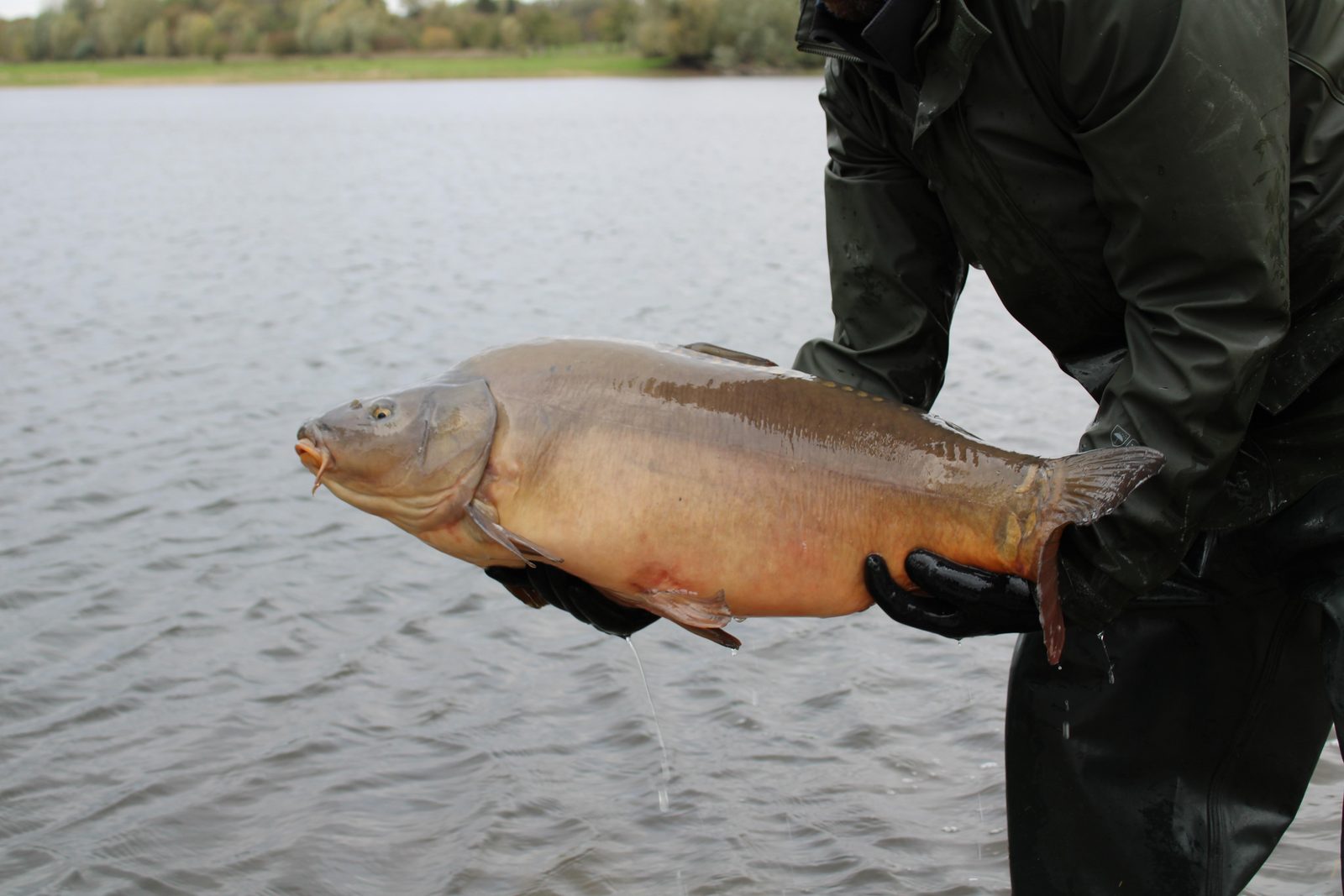 Fishing pond De Kromme Hengel