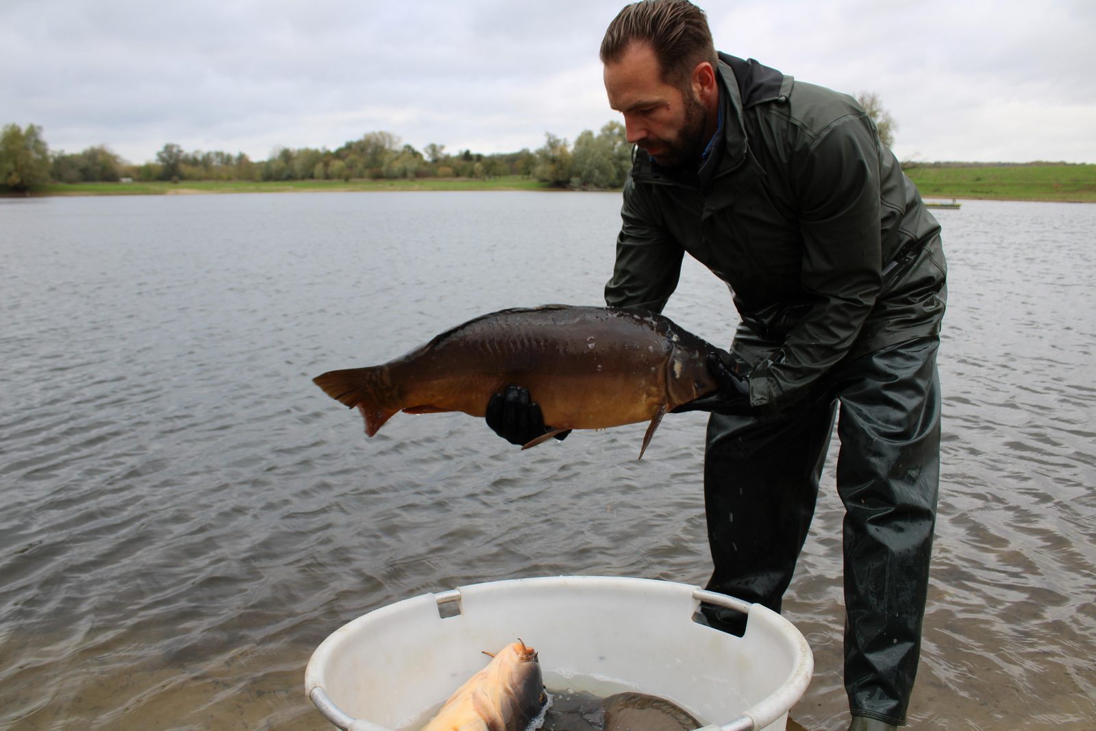 Fishing pond De Kromme Hengel