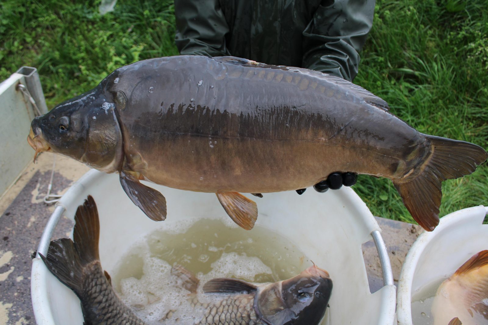 Fishing pond De Kromme Hengel