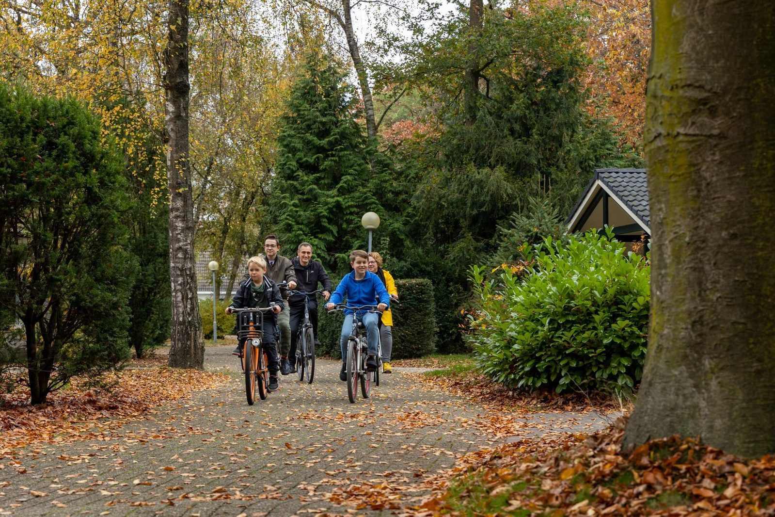 Gezin Bungalowpark Het Verscholen Dorp