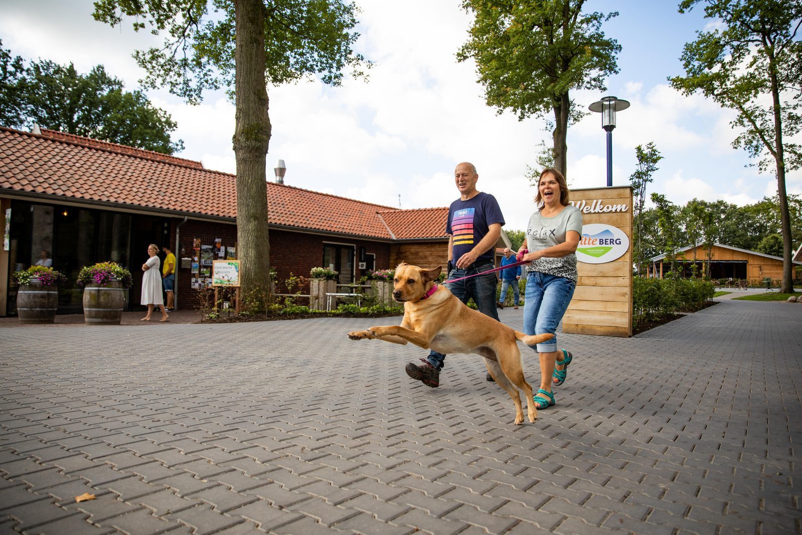 buitenspiegel elleboog mentaal Camping in Overijssel met een hond 🐾 | De Witte Berg