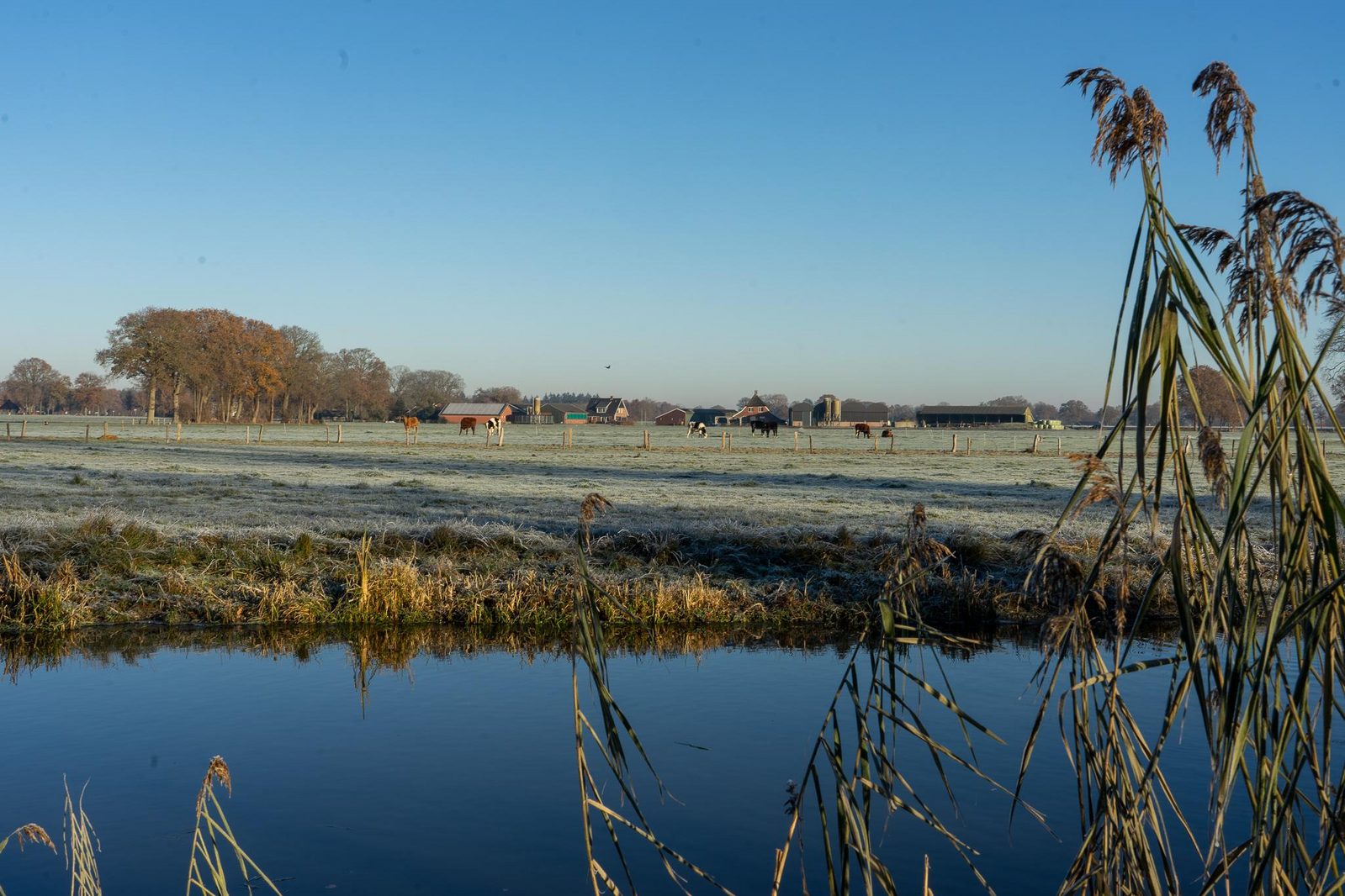 Voorjaarsvakantie