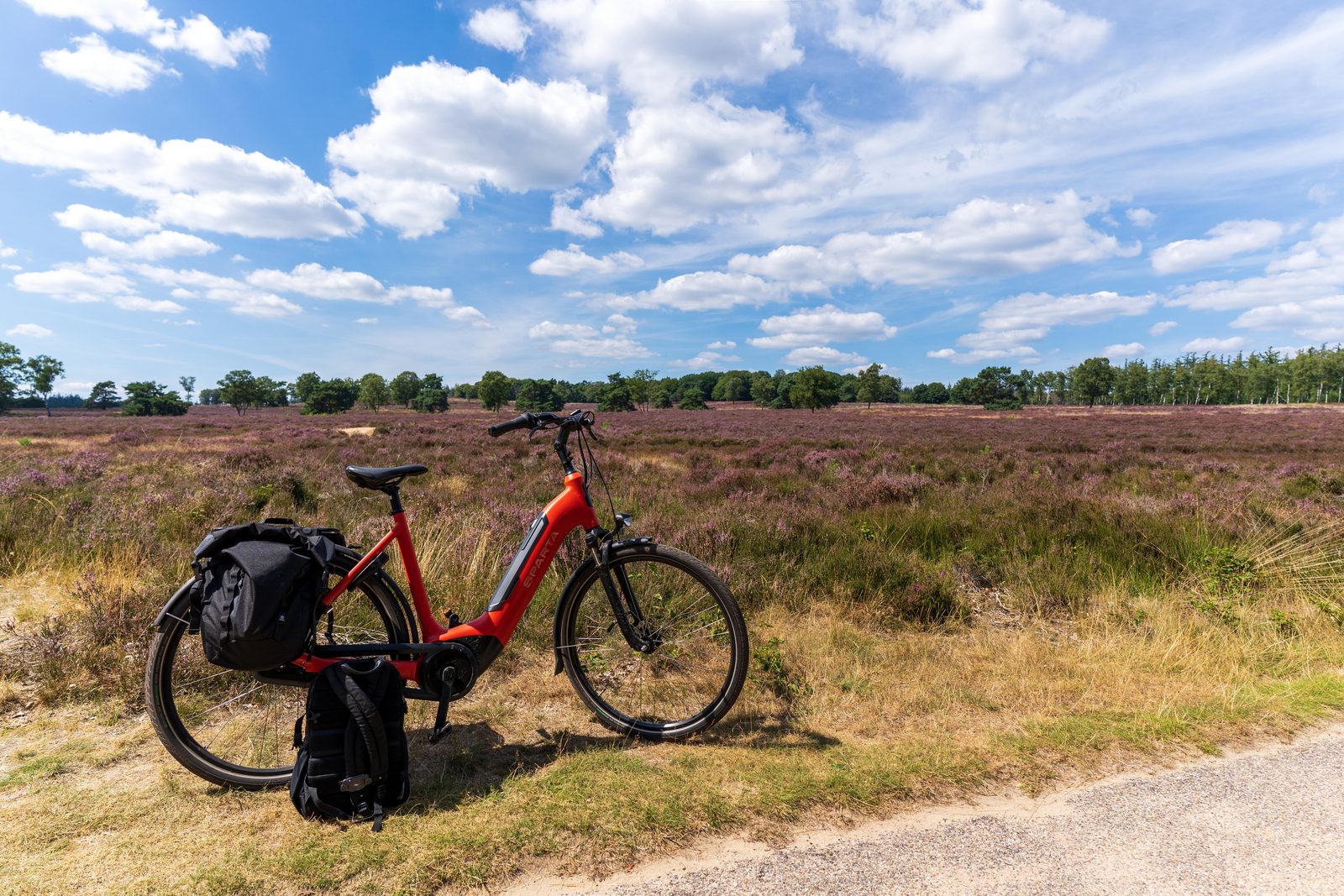 A lovely bike excursion around Harderwijk