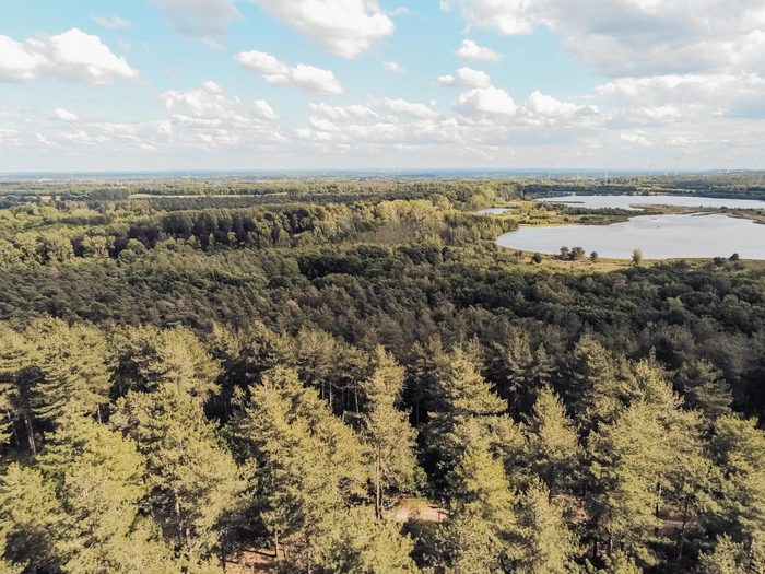 Slow living Digital detox vakantie Warredal