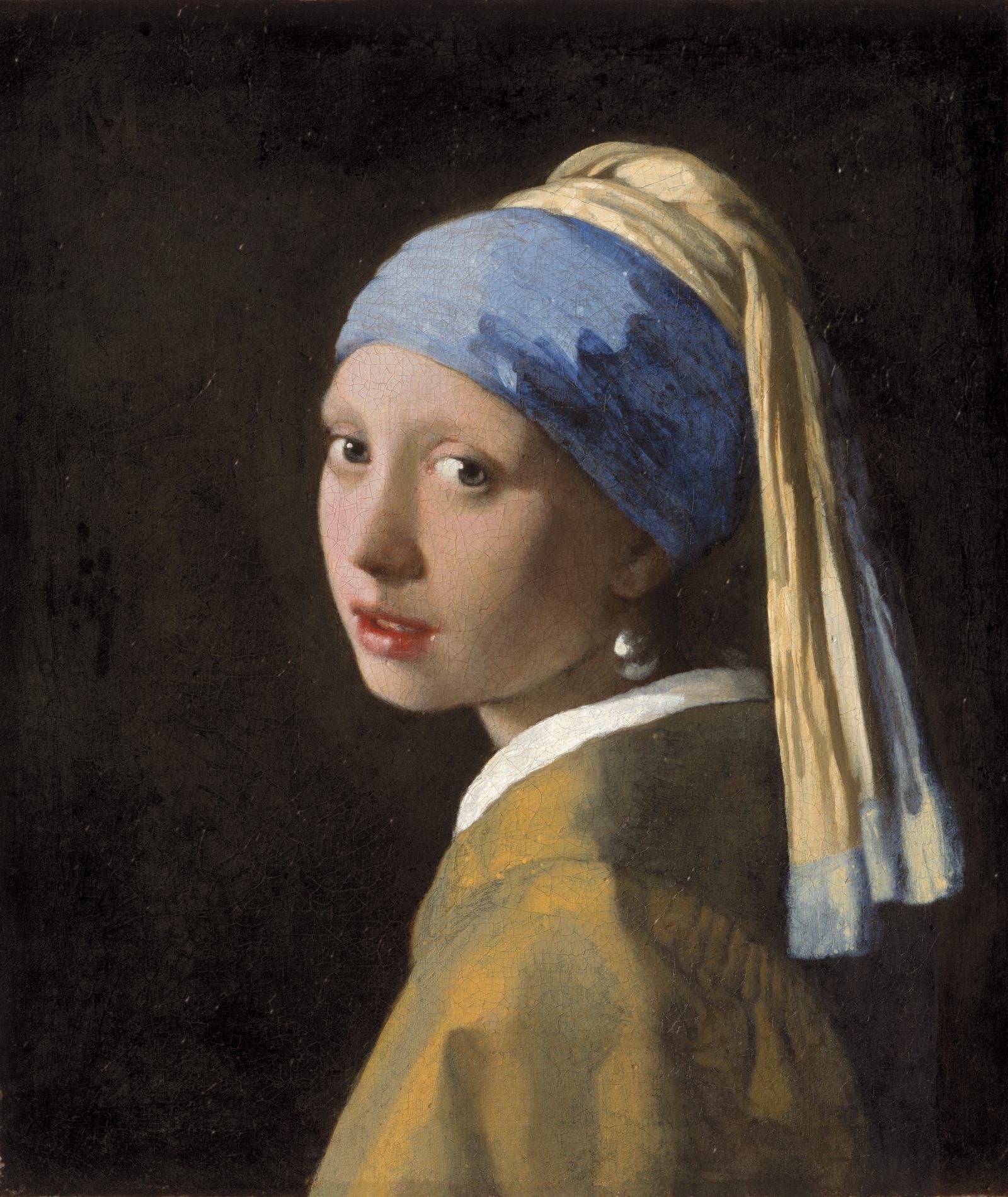 Das Mädchen mit dem Perlenohrgehänge, Mauritshuis