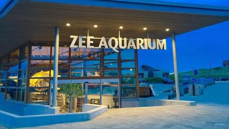 Zee Aquarium 