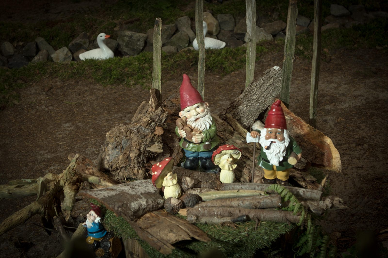 Gnome Trail Zandstuvebos