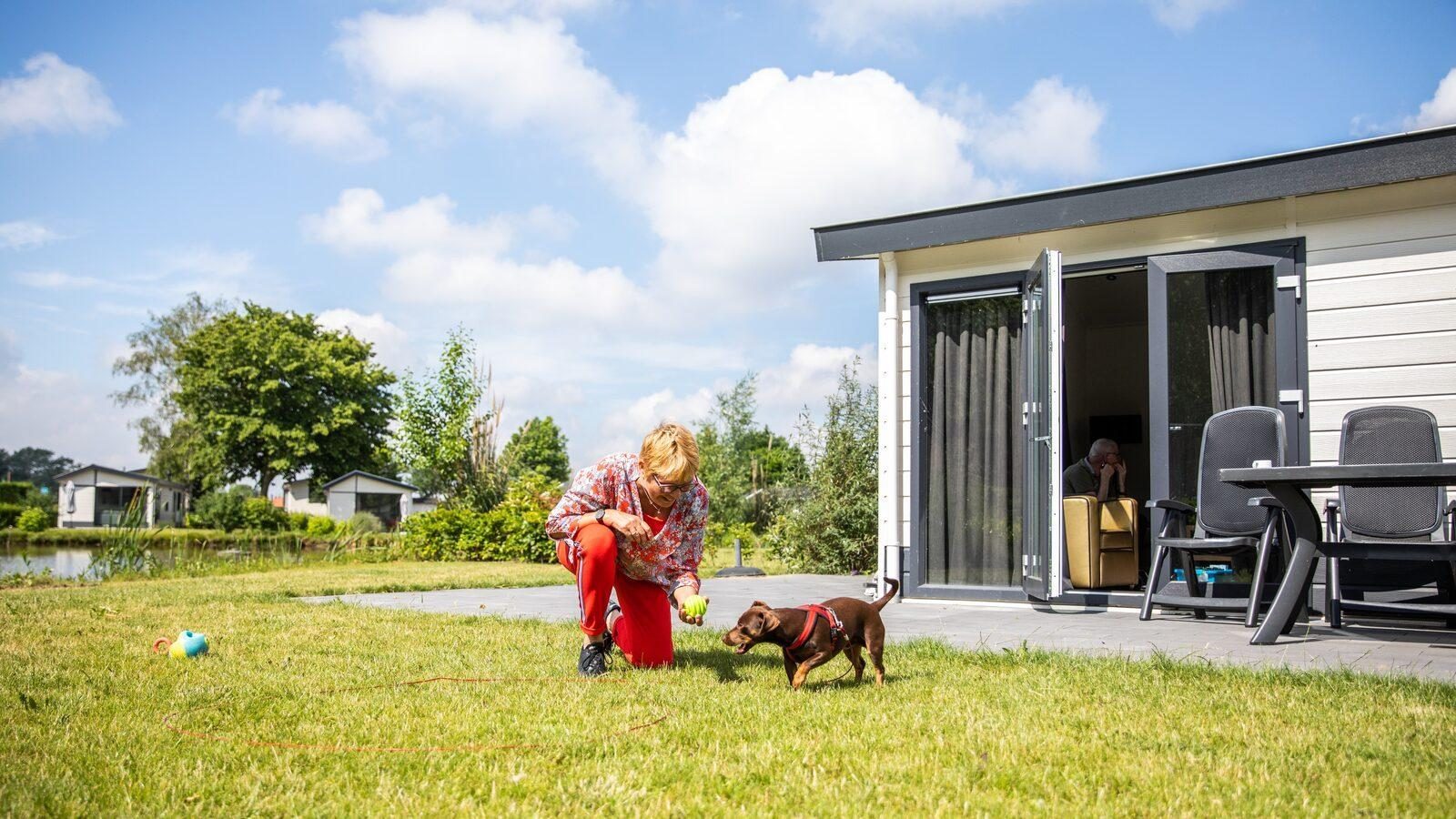 Bungalow mit Hund in Holland