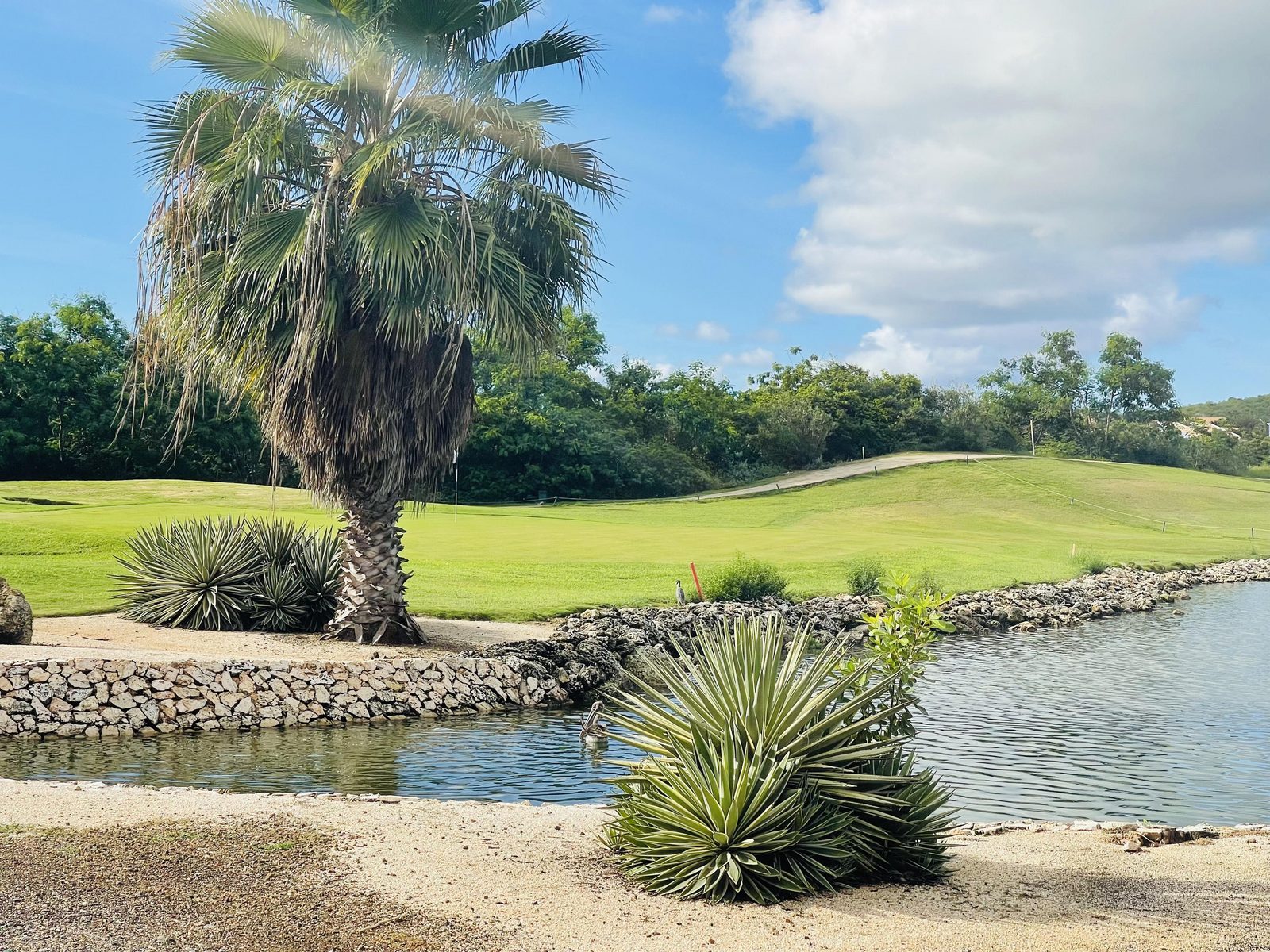 Golfen op Blue Bay Curacao