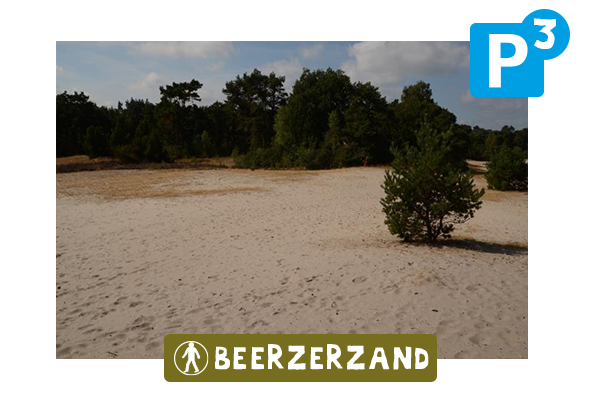 P3. Beerzerzand