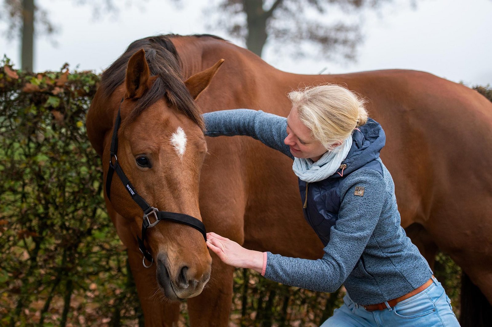 Chiropractie voor paarden