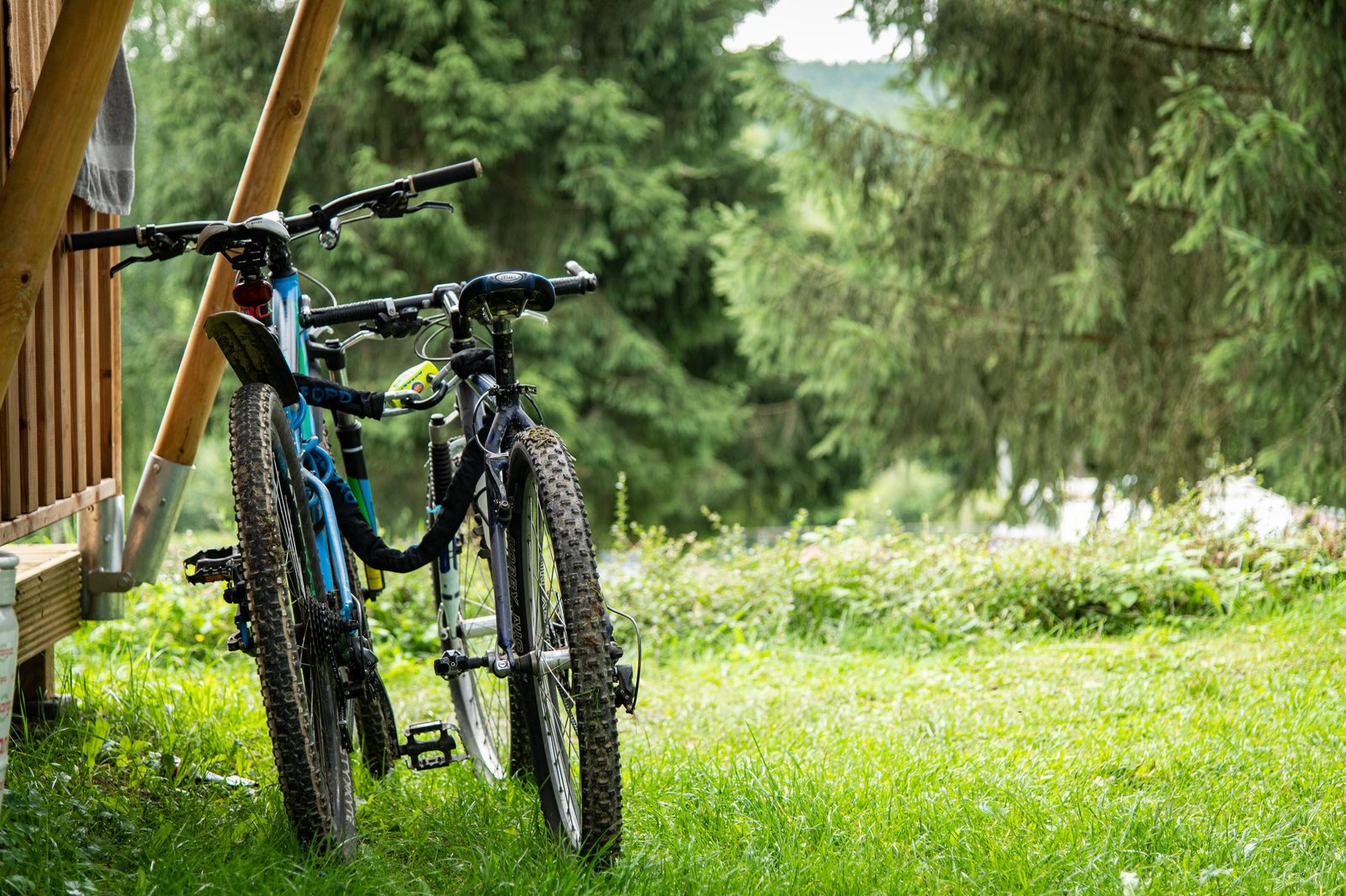 2 bikes in the Ardennes