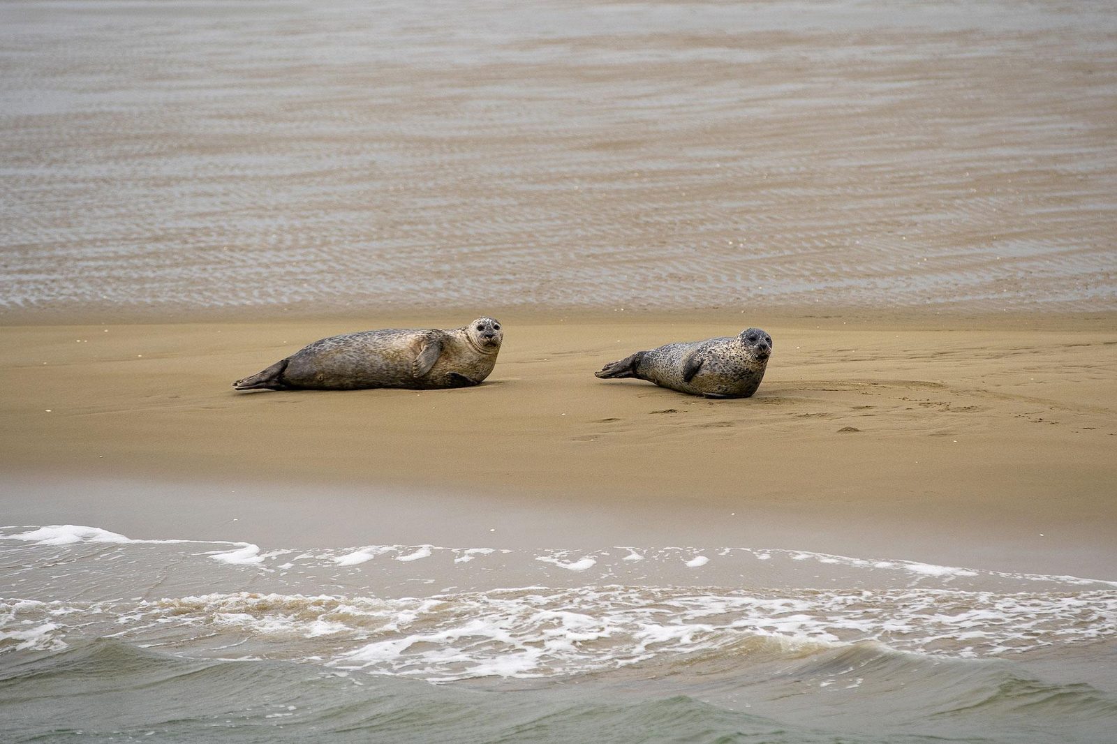 Tips activiteiten Zeeland Noord-Beveland