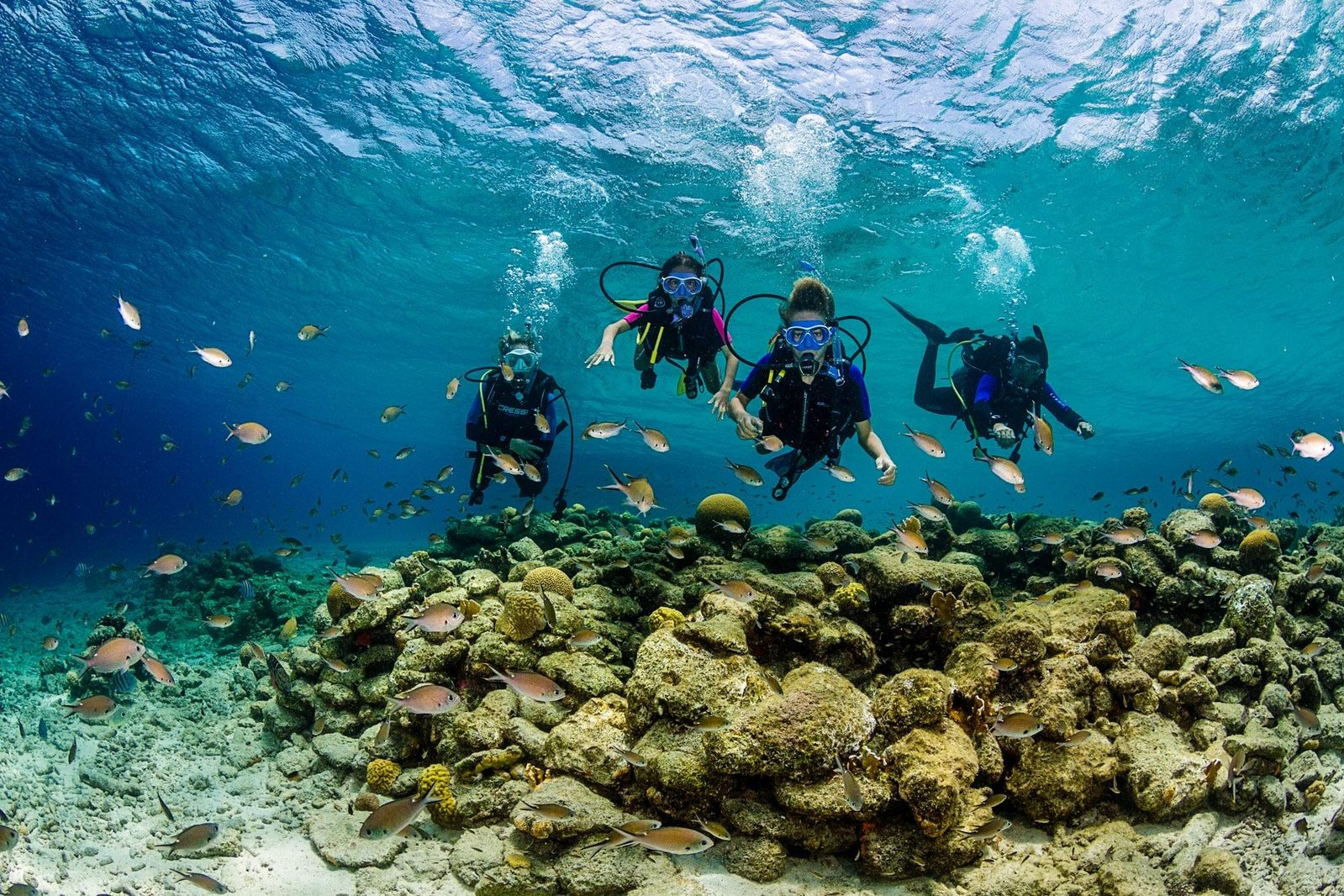 Lees meer over het duiken en snorkelen op Bonaire