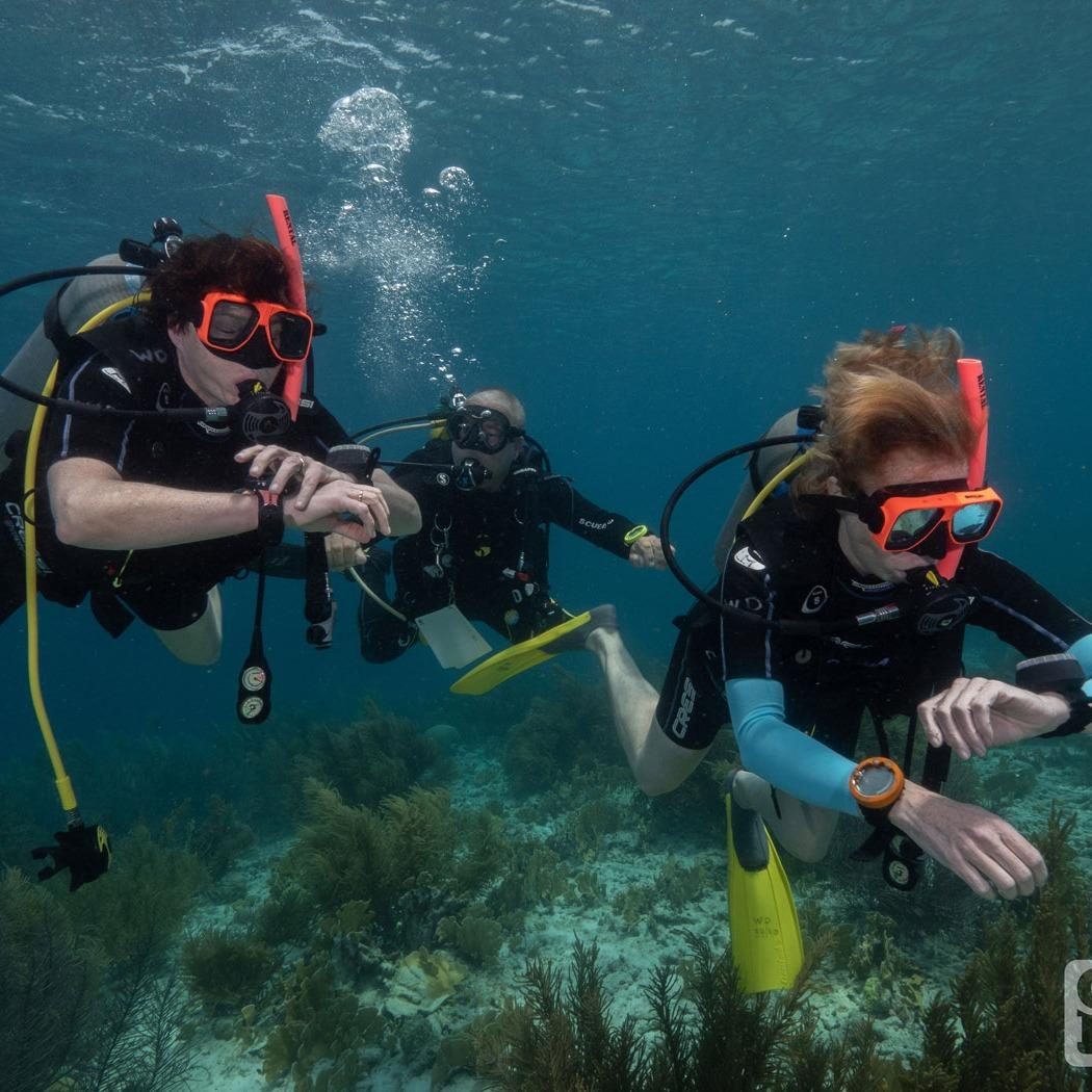 Diving school Bonaire