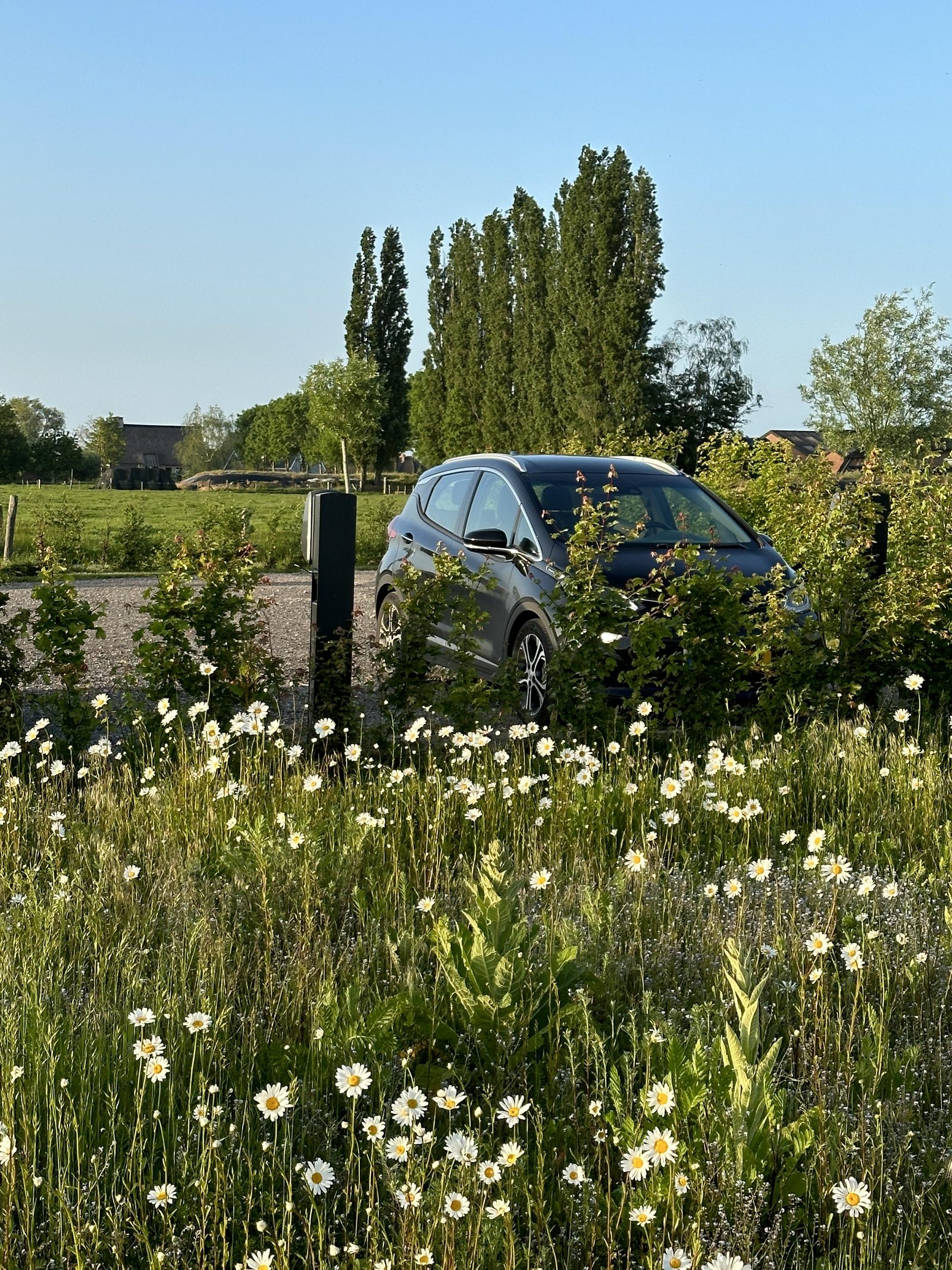 Elektrische auto opladen