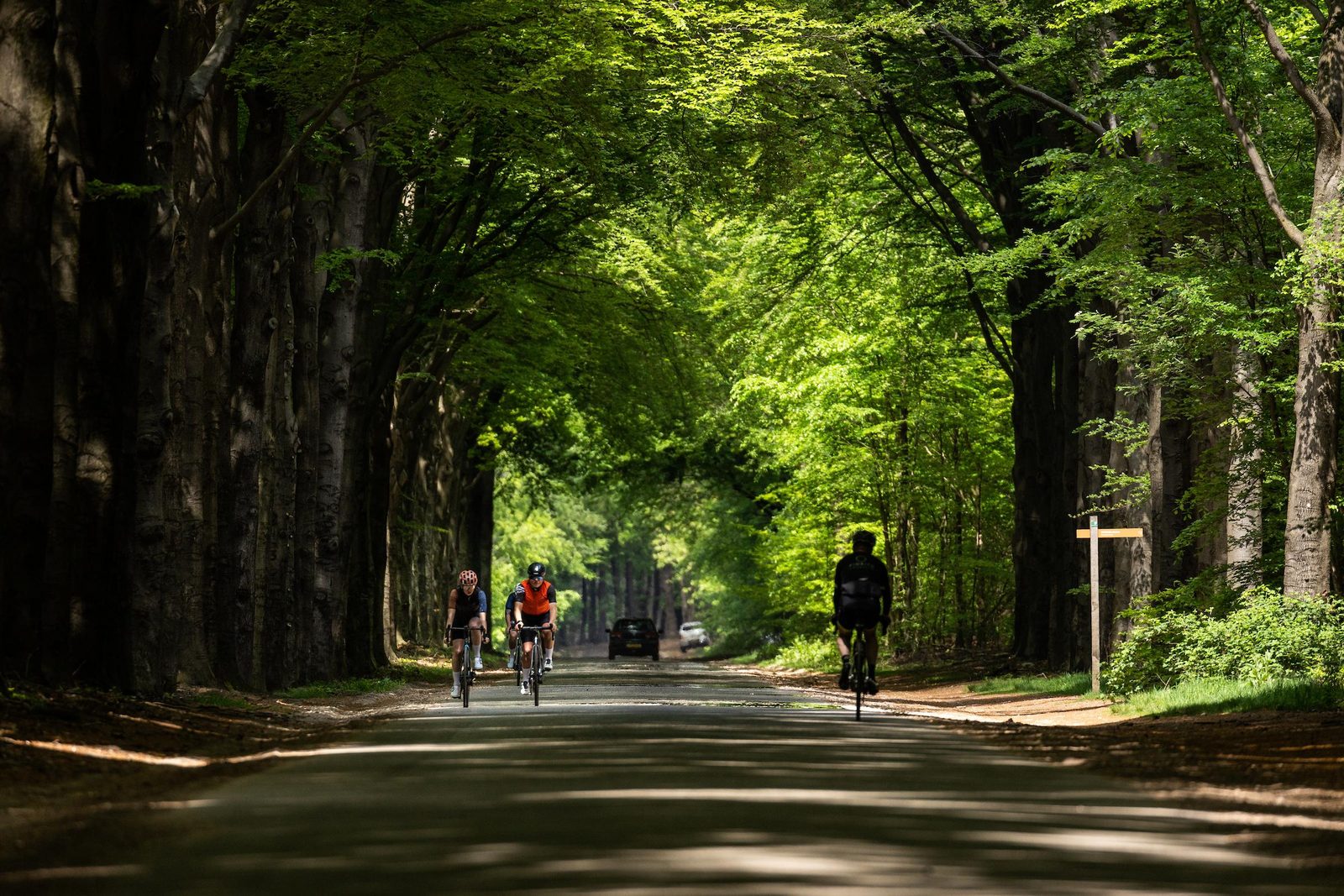 🚲 Fahrradverleih | E-Bikes, Citybikes & Mountainbikes