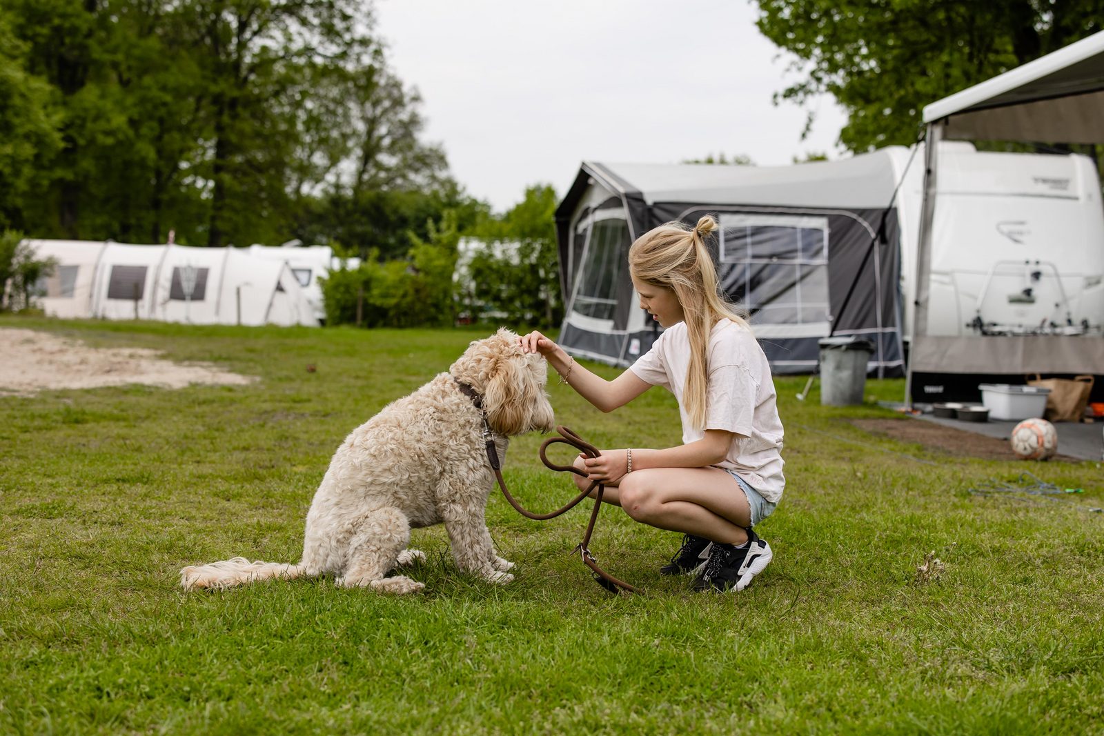 Haustier-freundliche camping