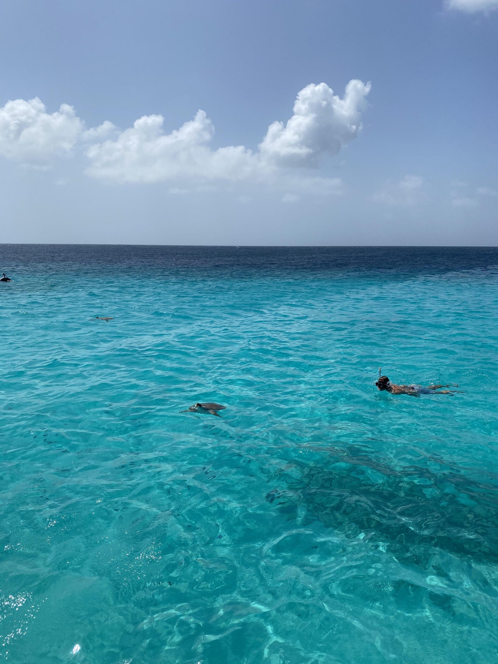 Snorkelen bij Klein Curaçao  