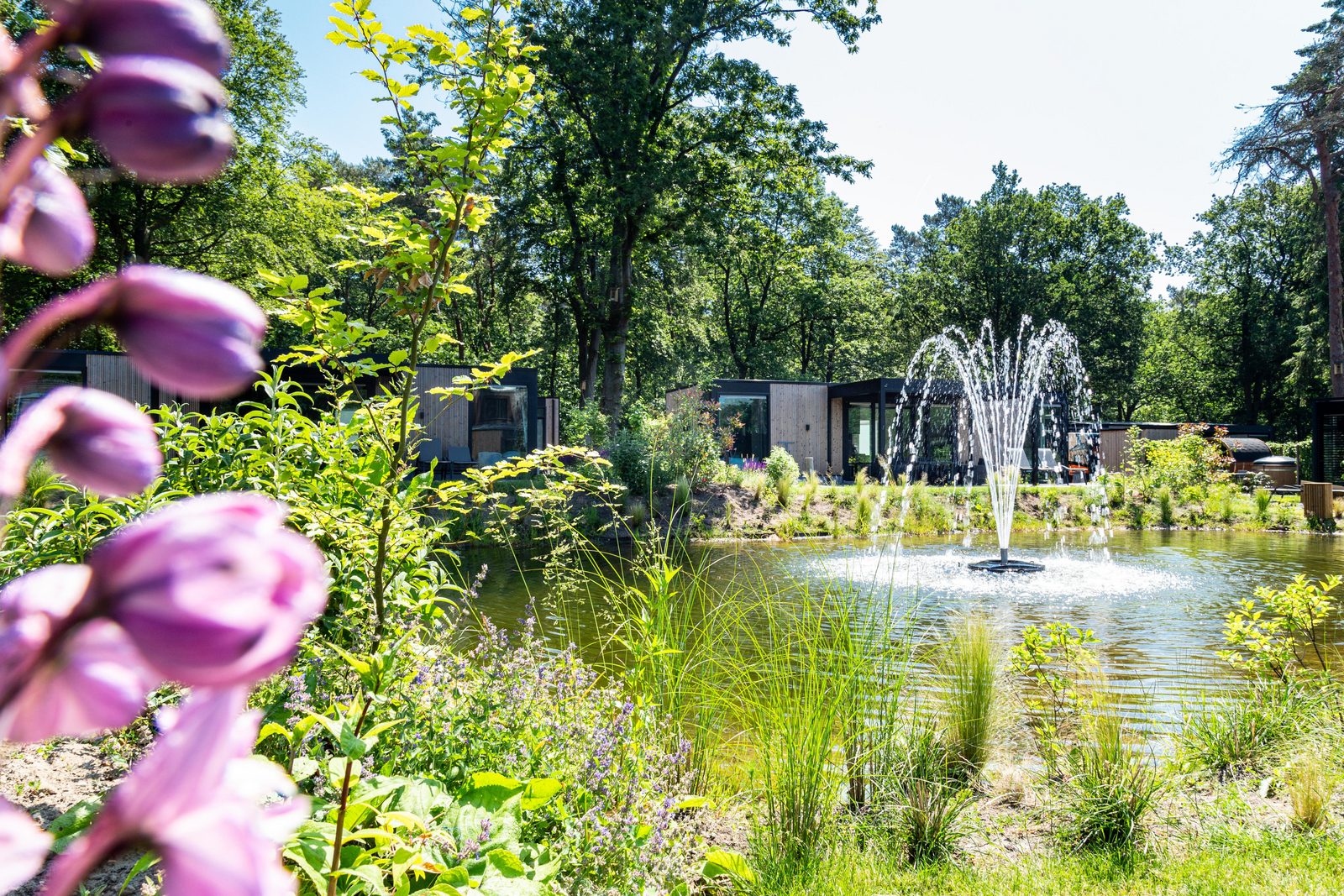 Discover our holiday parks at the Veluwe