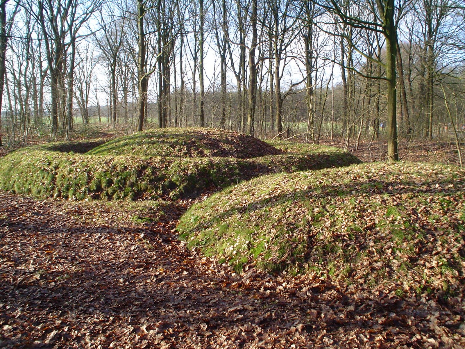 Prehistorische grafheuvels van Veldhoven