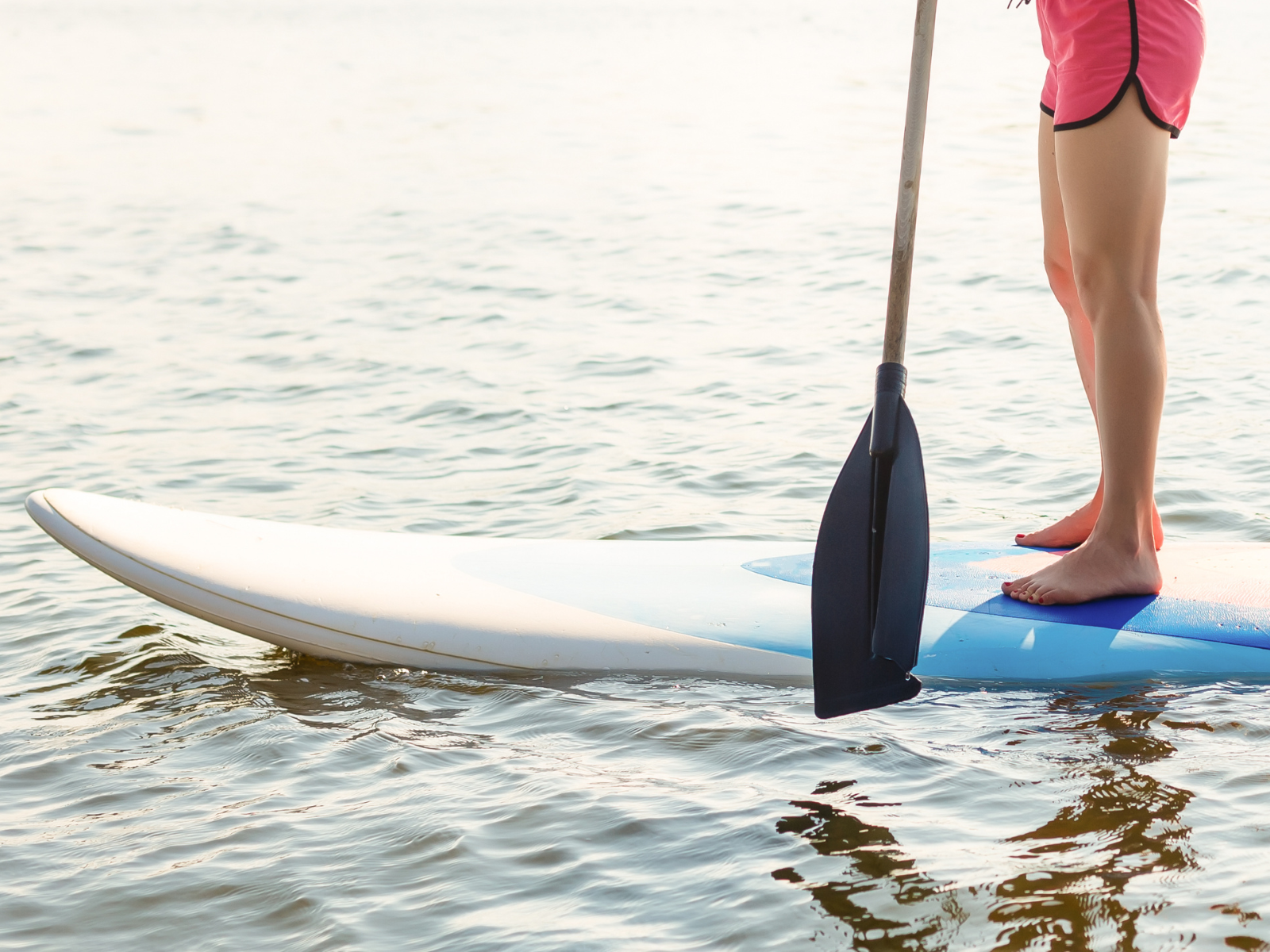 New at Oasis Punt-West: SUP Rentals and SUP Yoga