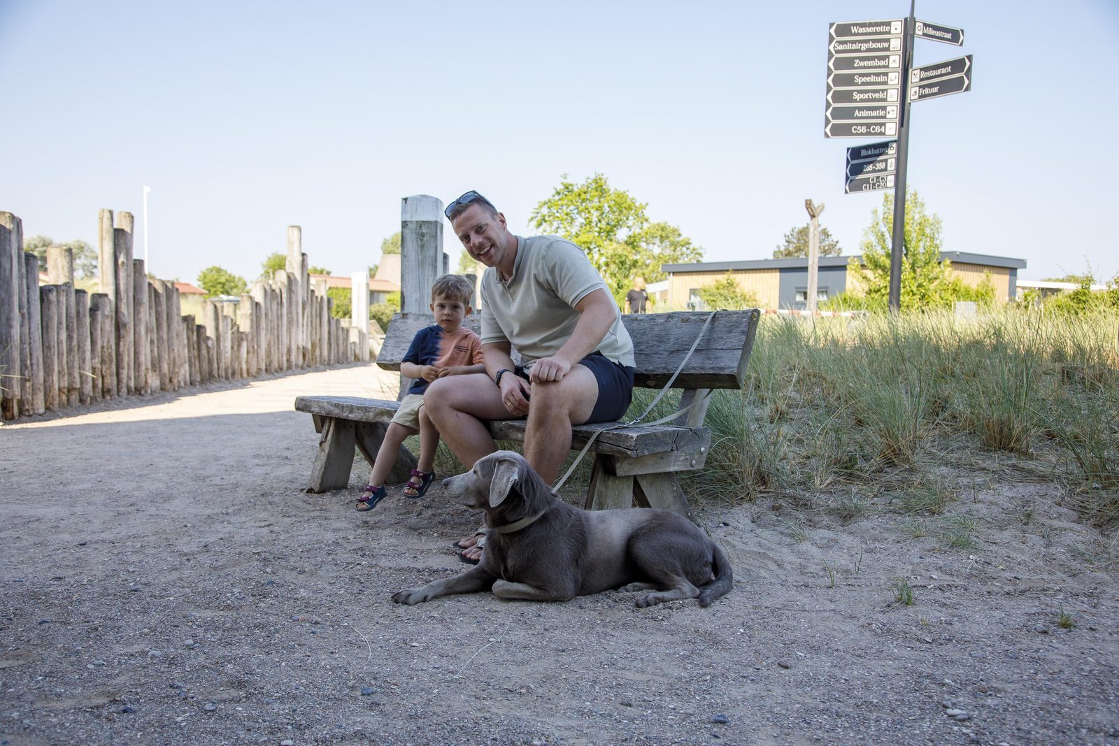 Campingplatz in Zeeland, Hunde willkommen, Am Meer