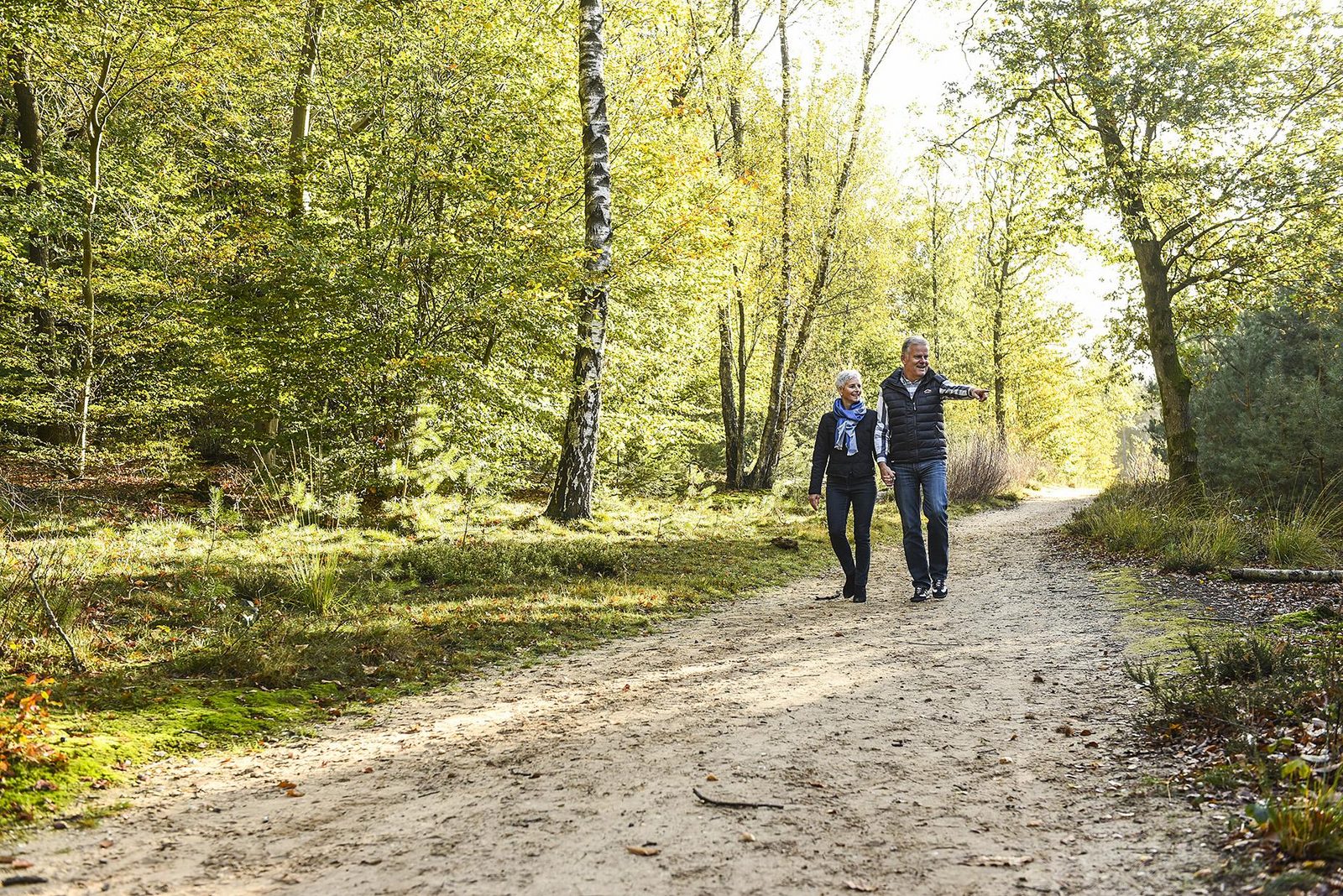 Our tips for a hike in Lage Vuursche