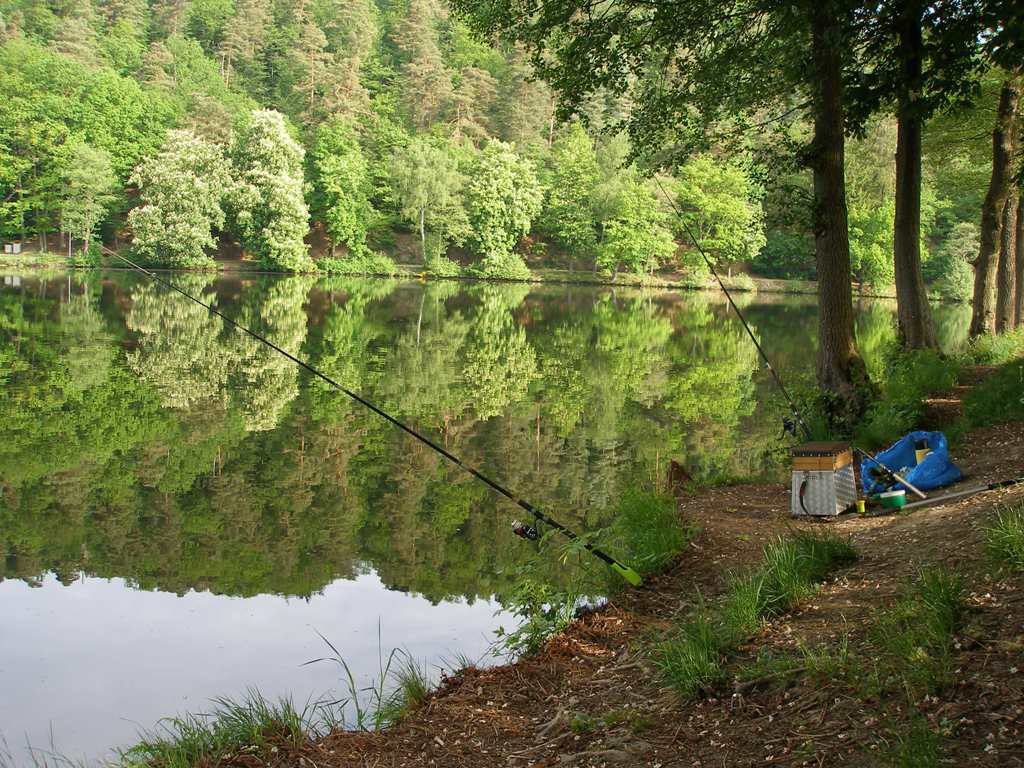 Fishing in the Ardennes