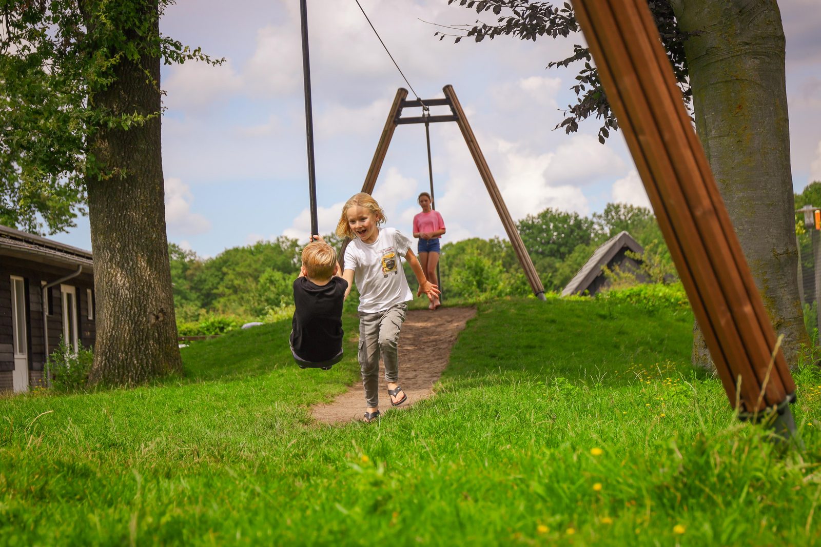 Climbing meadow