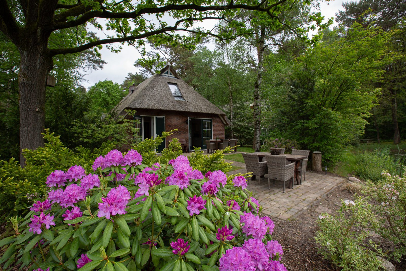 Rent bungalow Drenthe