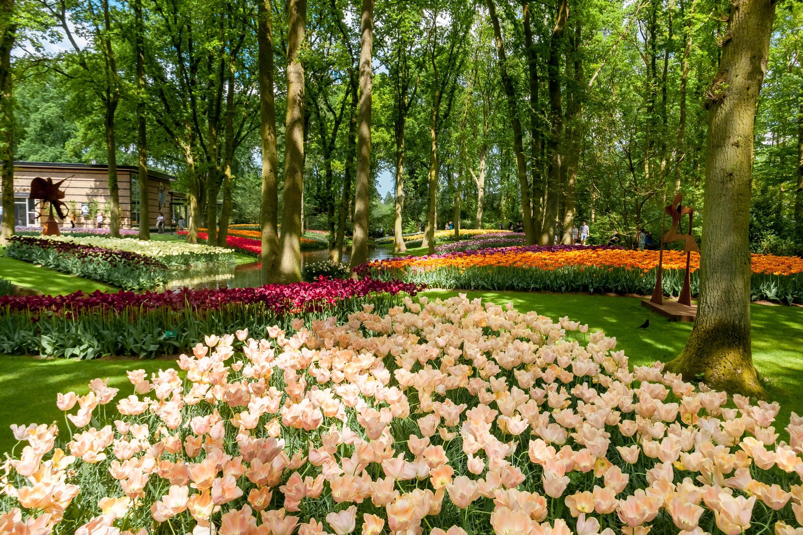Breathtaking spring gardens Keukenhof Lisse