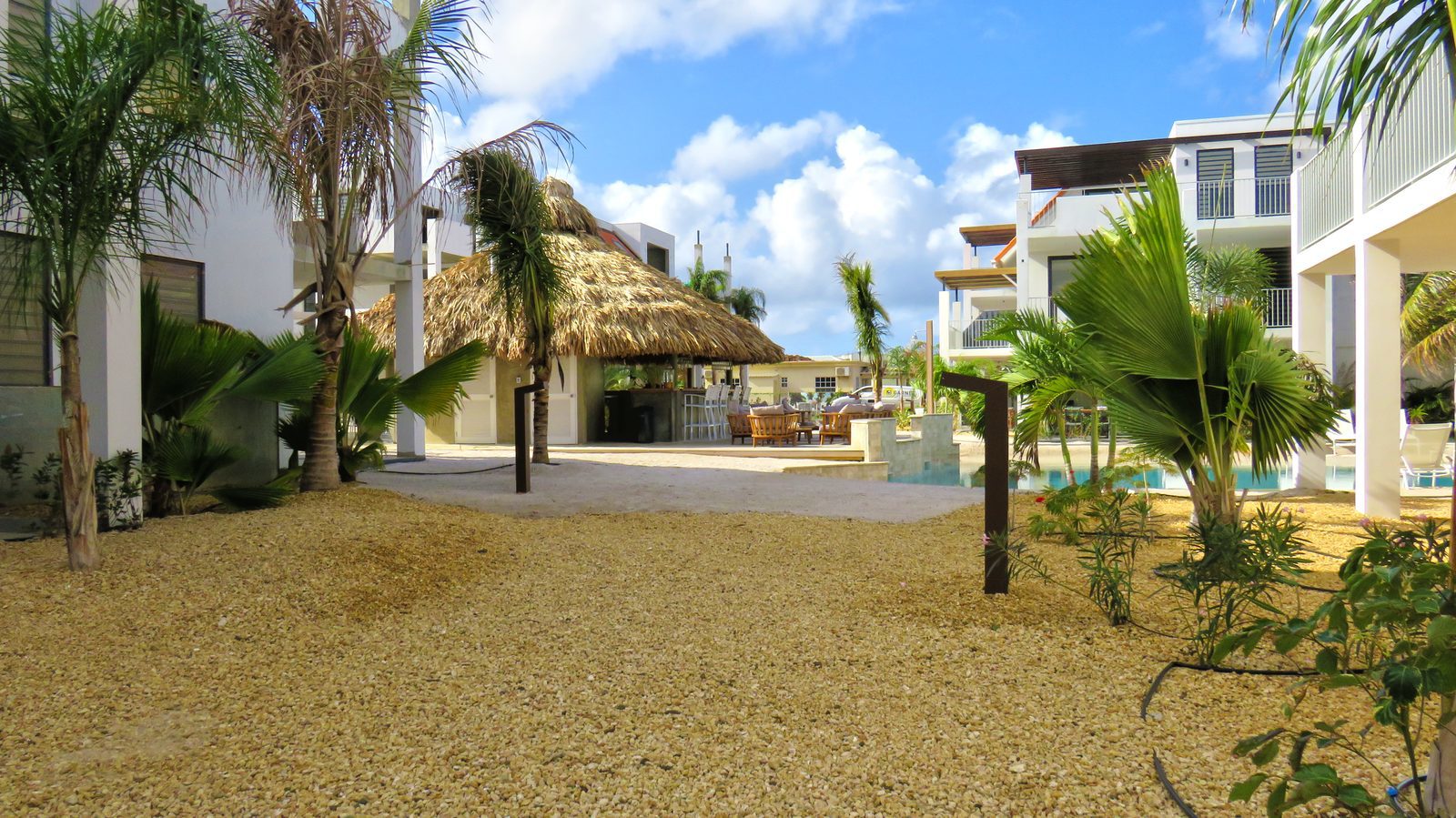 Resort Bonaire est l’une des nombreuses stations balnéaires de cette île magnifique. Jetez donc un coup d'œil aux photos de nos installations et des possibilités offertes sur l'île.