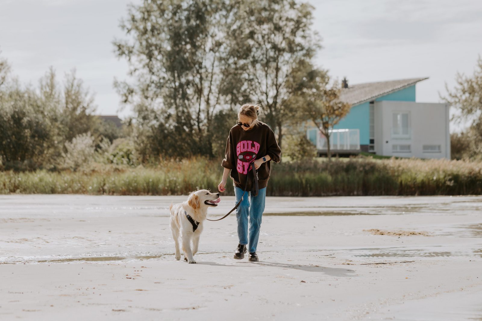 Urlaub mit Hund am IJsselmeer