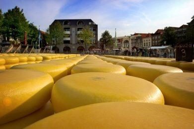 Kaasmarkt in Alkmaar