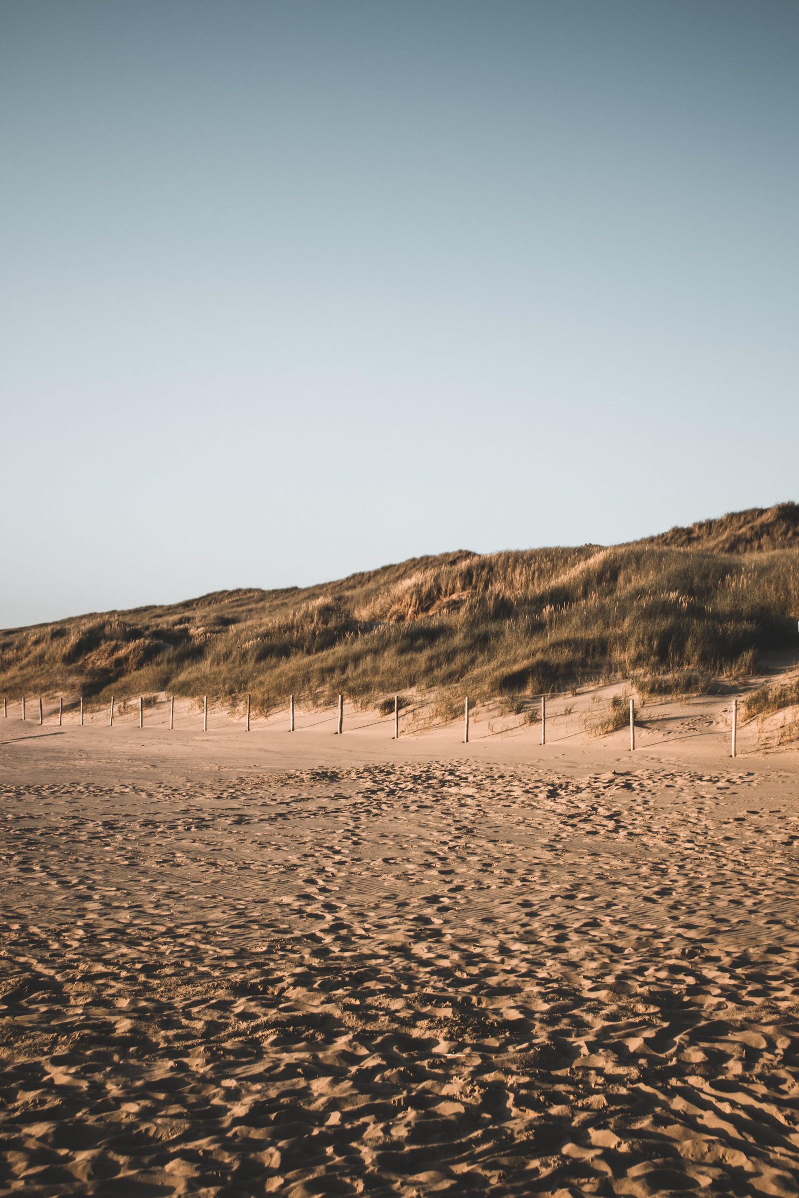 Egmond Wandel Marathon