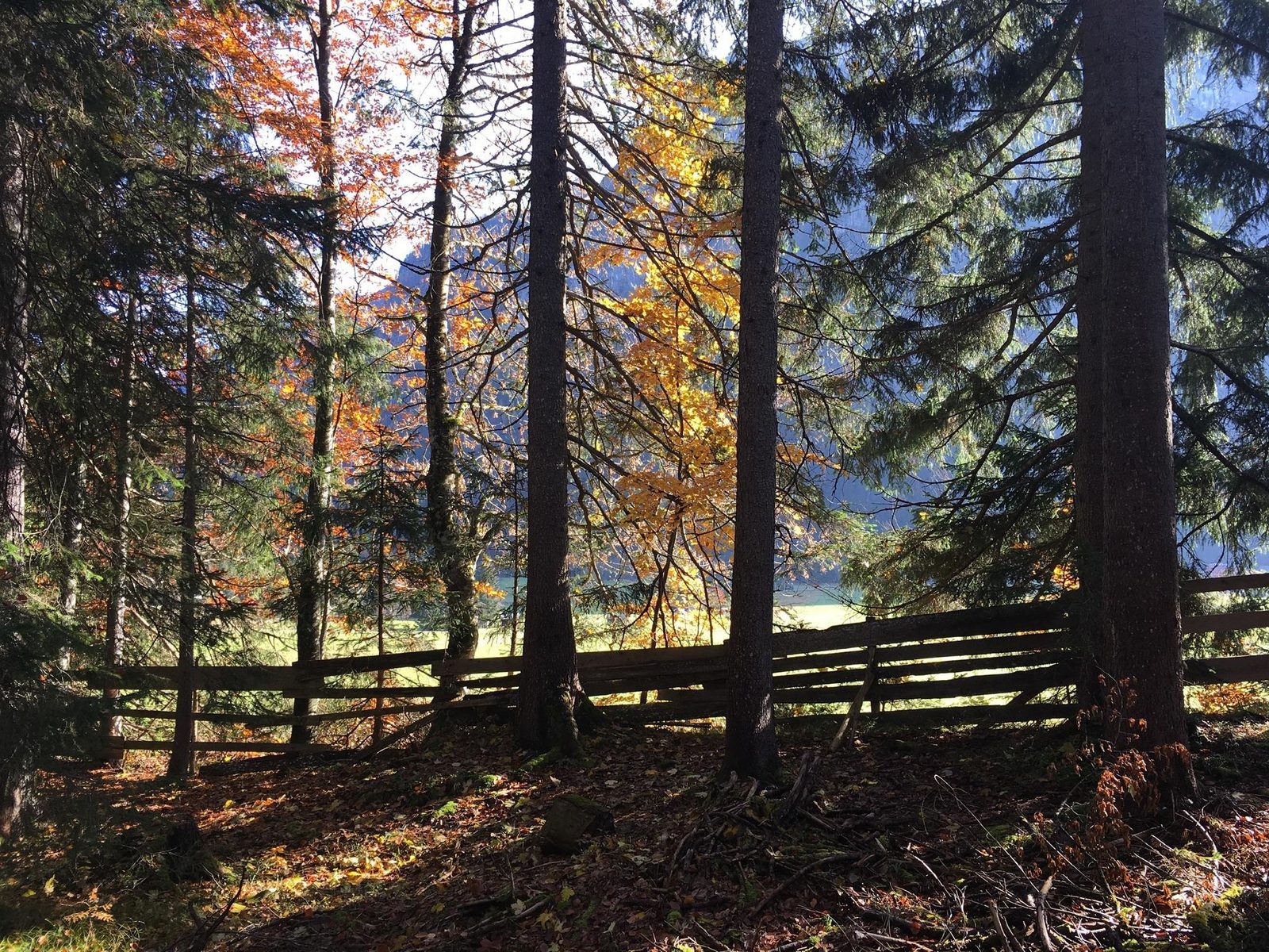 Fall vacation Tyrol