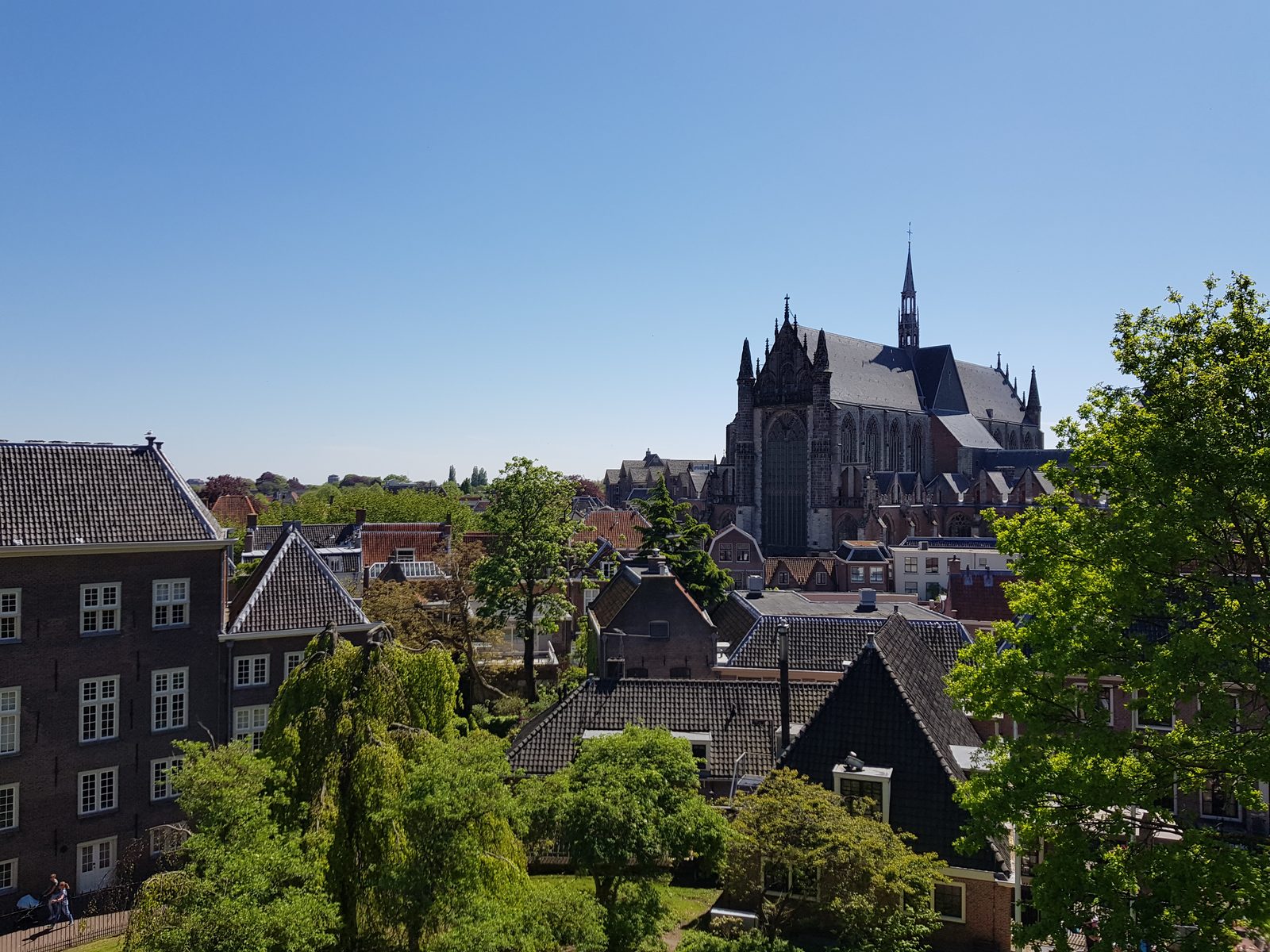 Leiden museum city