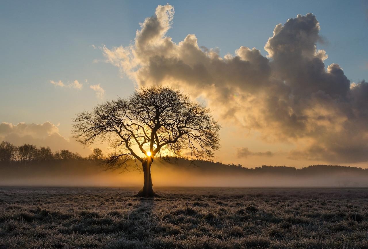 Holterberg Natuurreservaat